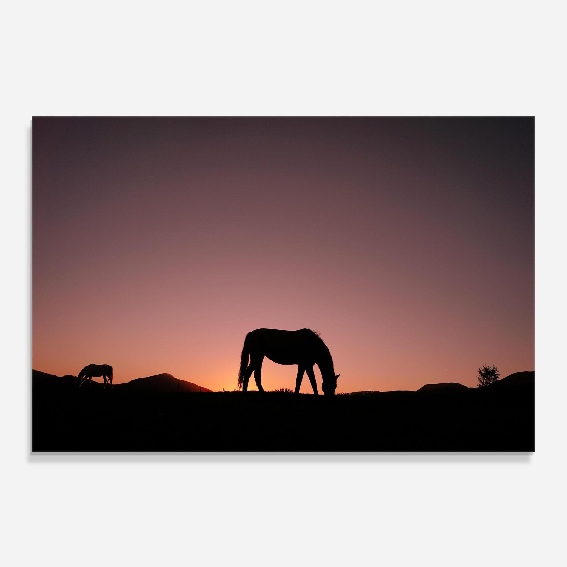 Panou Sticla Bucatarie Horse Silhouette mockup 0