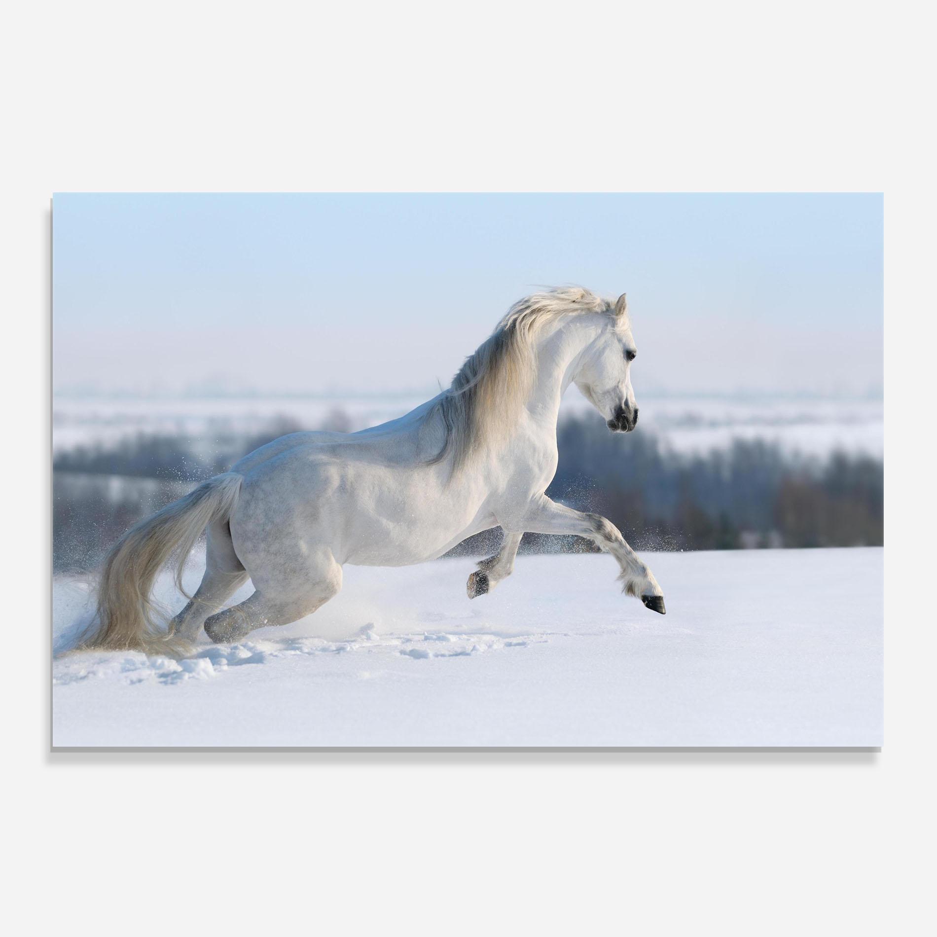 Panou Sticla Bucatarie Snow Horse Running mockup 0