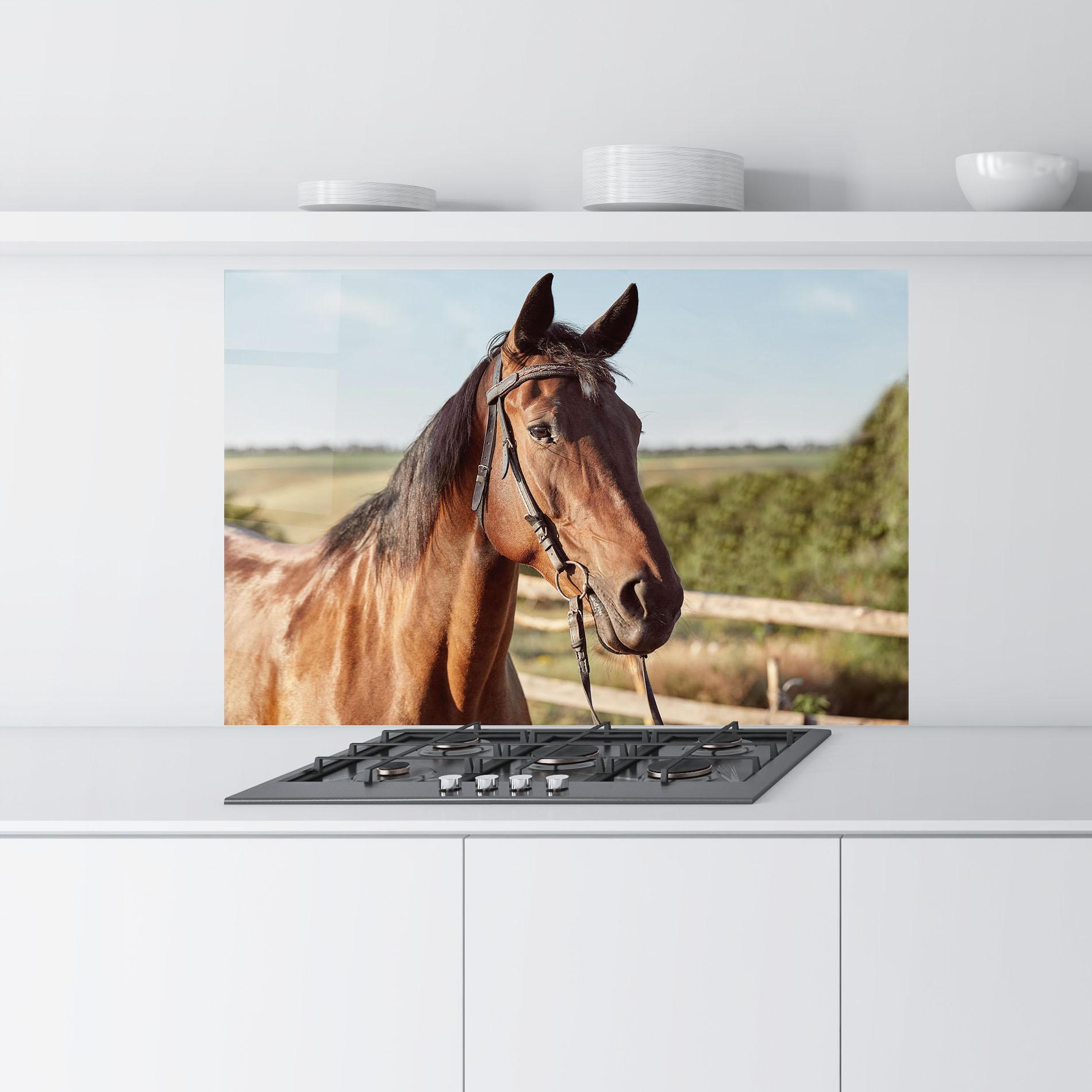 Panou Sticla Bucatarie Brown Horse Close Up mockup 9