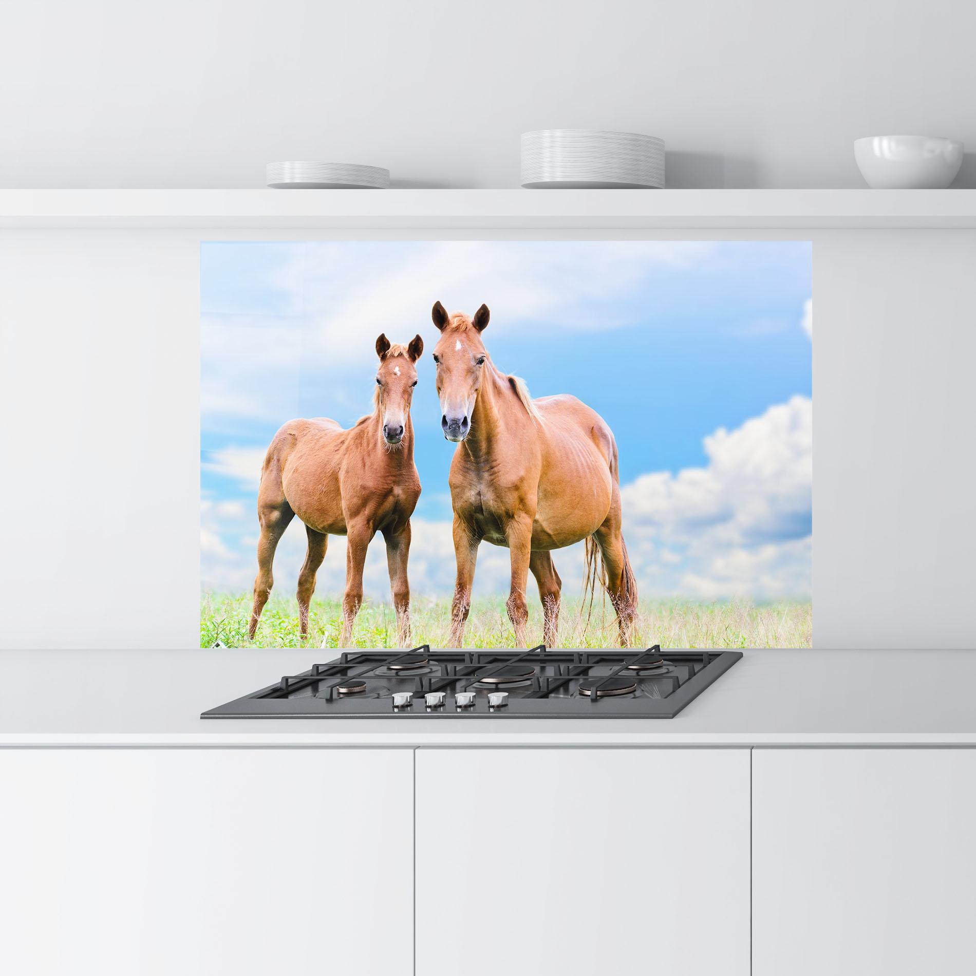 Panou Sticla Bucatarie Brown Horse Looking mockup 9