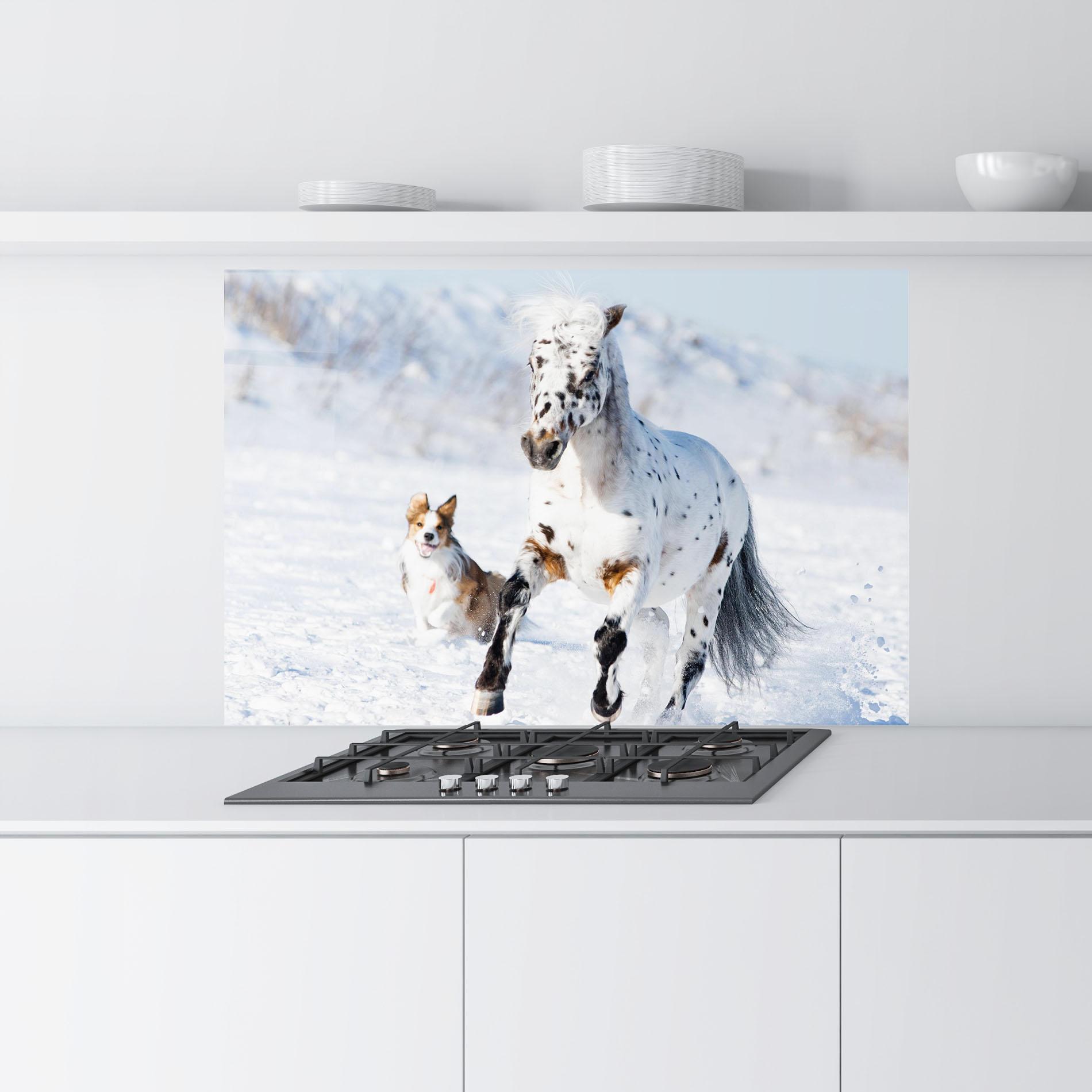 Panou Sticla Bucatarie Dog And Horse Running mockup 9