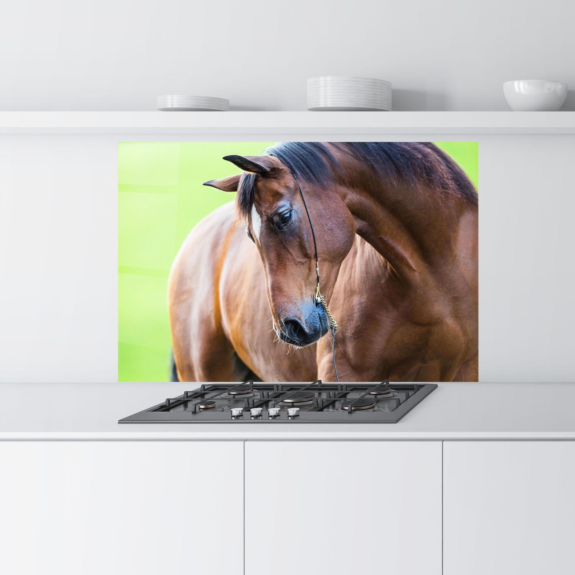 Panou Sticla Bucatarie Horse Head Portrait mockup 9