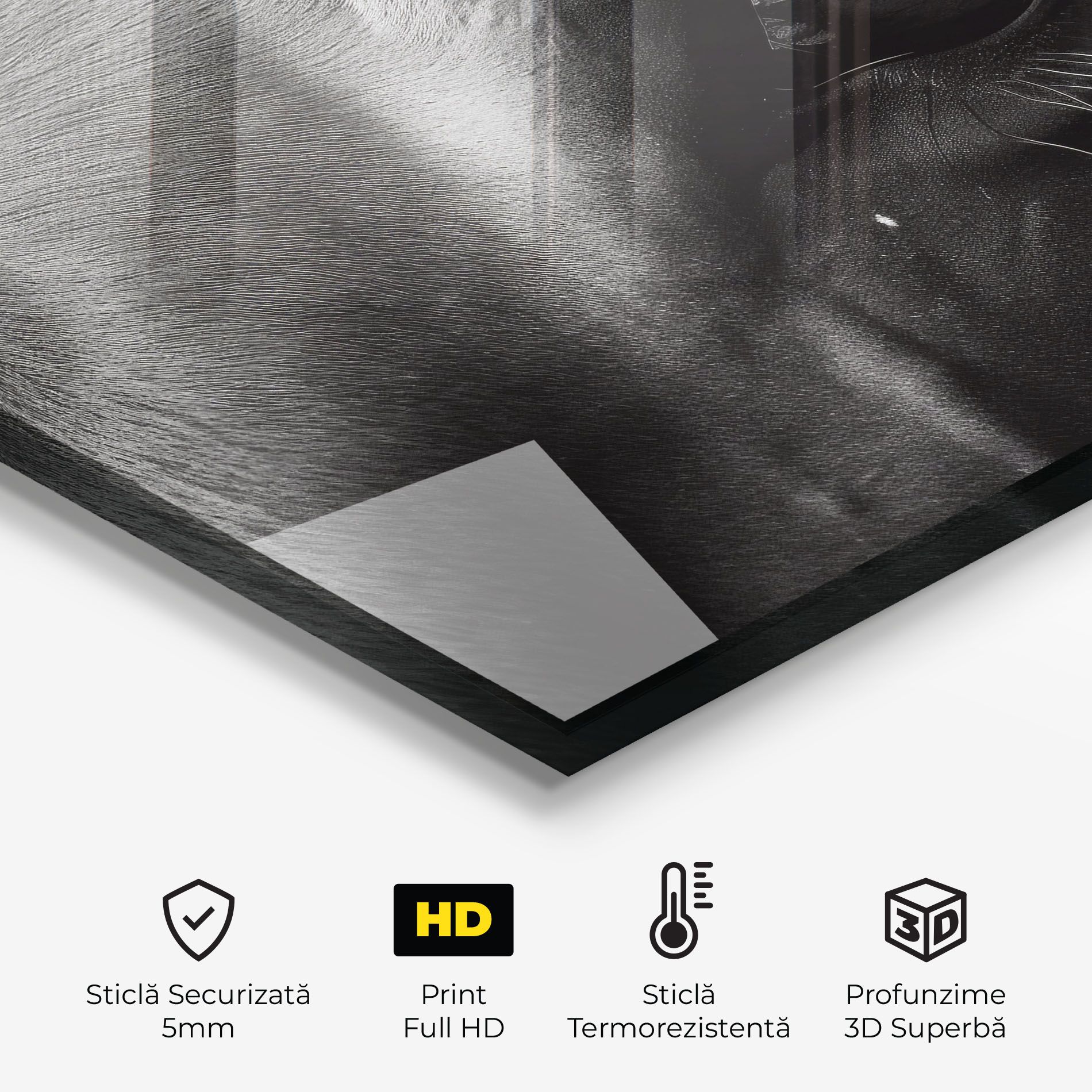 Black Horse Eye mockup 2