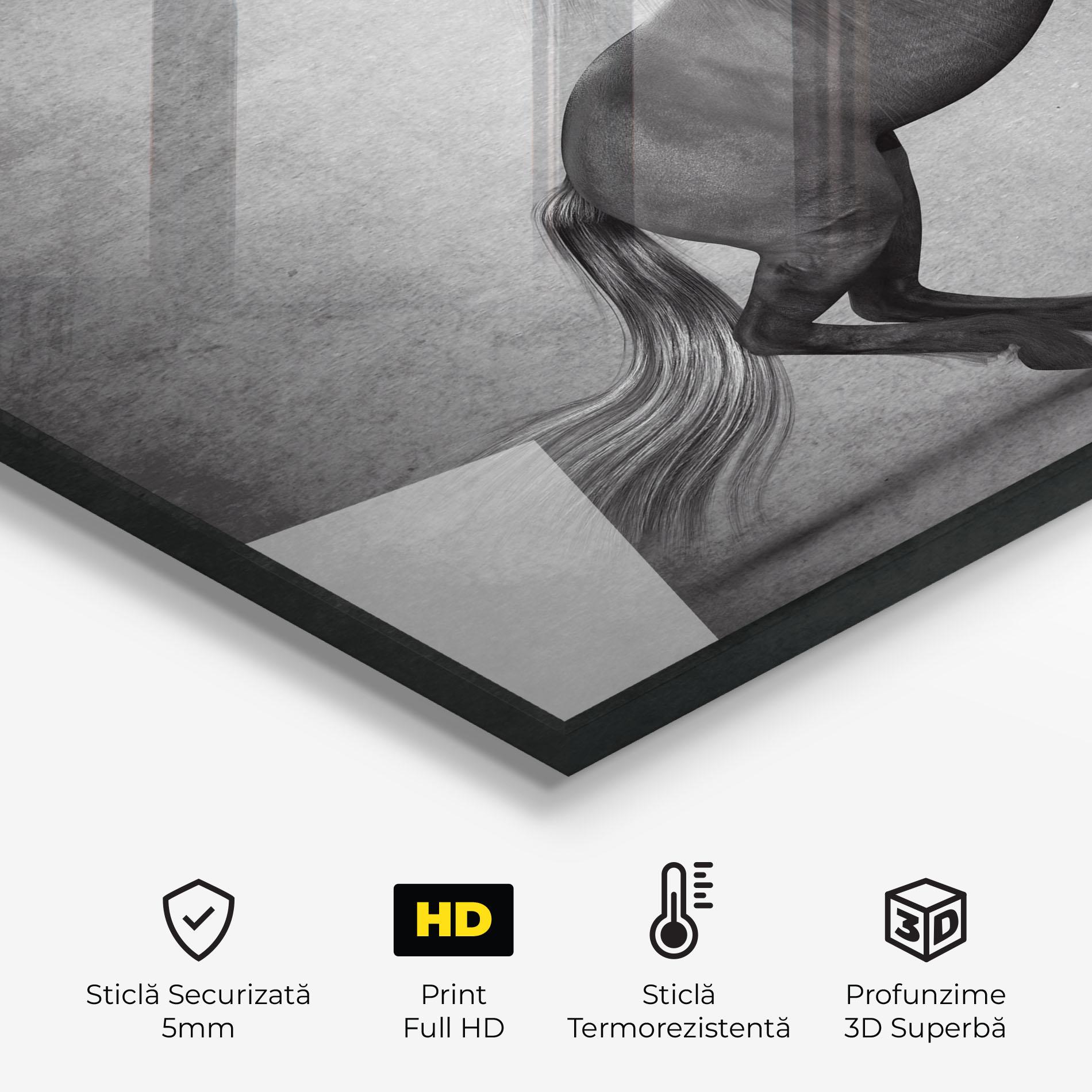 Panou Sticla Bucatarie Black Horse Jumping mockup 2