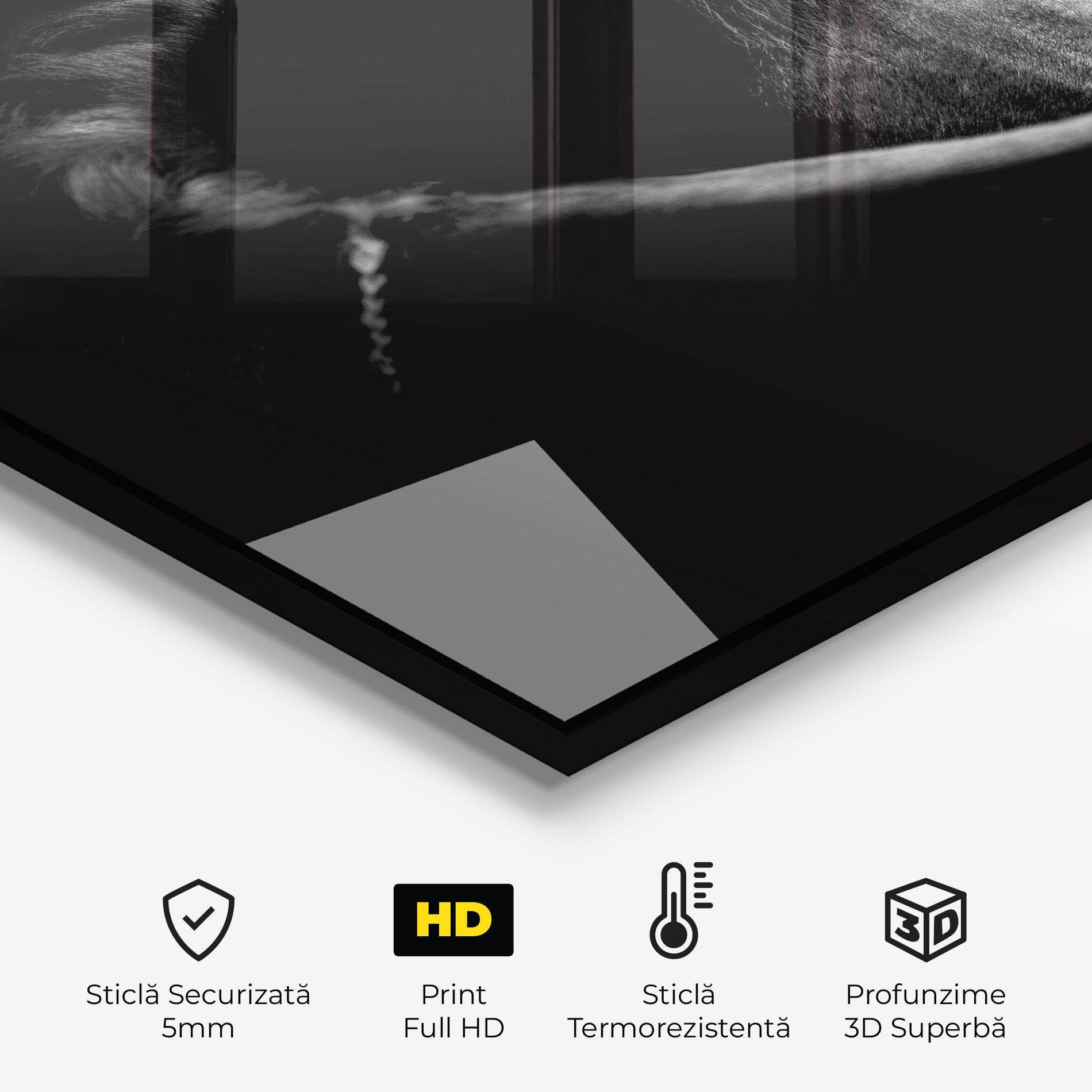 Panou Sticla Bucatarie Black Horse Looking mockup 2