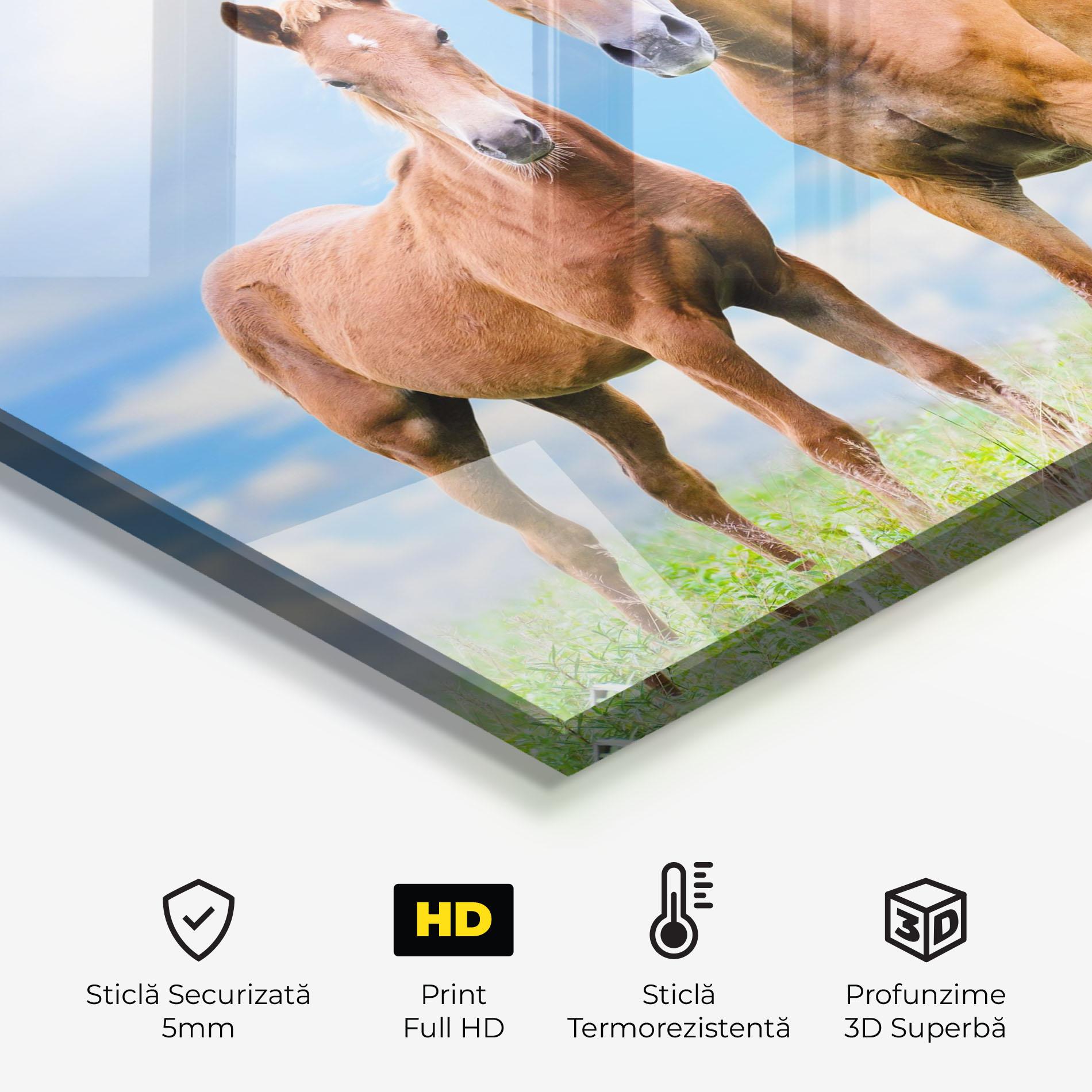 Panou Sticla Bucatarie Brown Horse Looking mockup 2