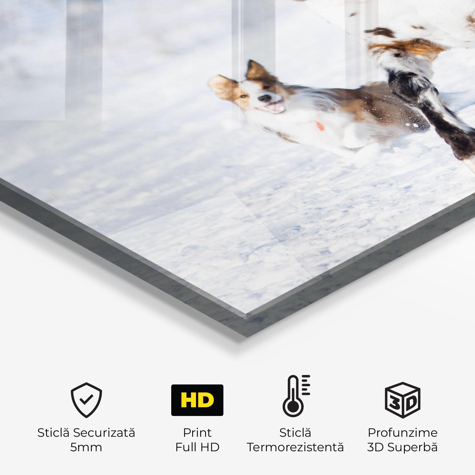 Panou Sticla Bucatarie Dog And Horse Running mockup 2