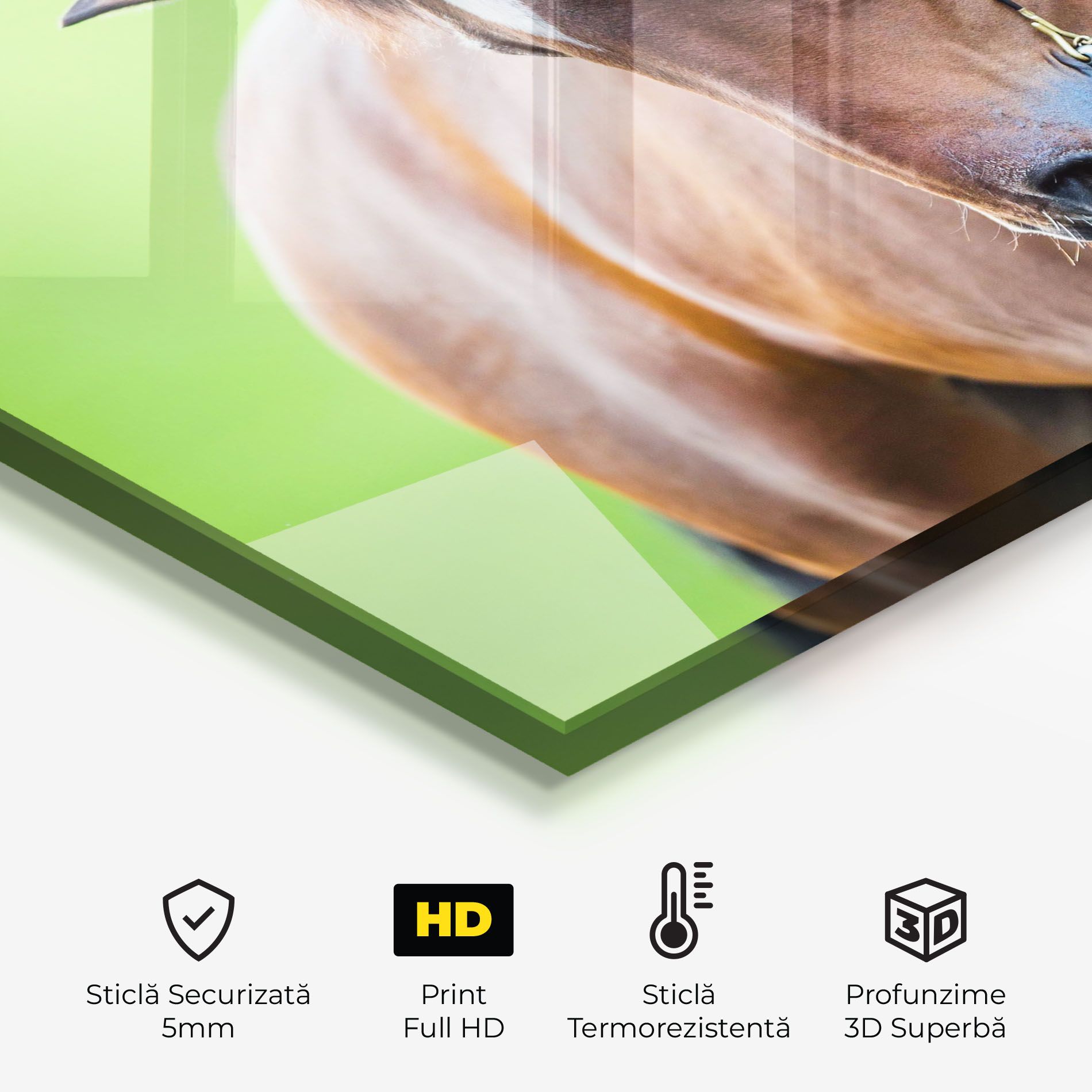 Horse Head Portrait mockup 2