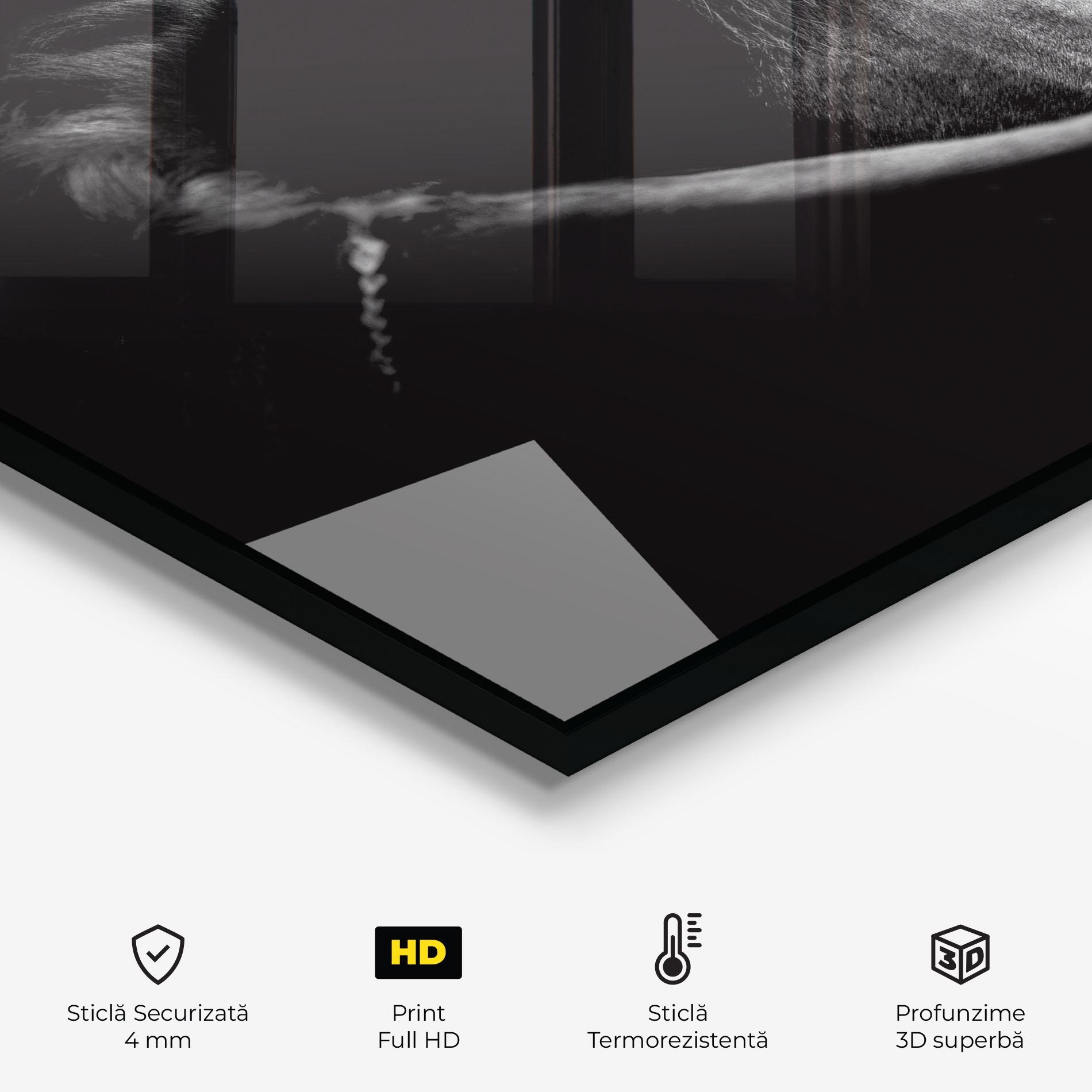 Panou Sticla Bucatarie Black Horse Looking mockup 2