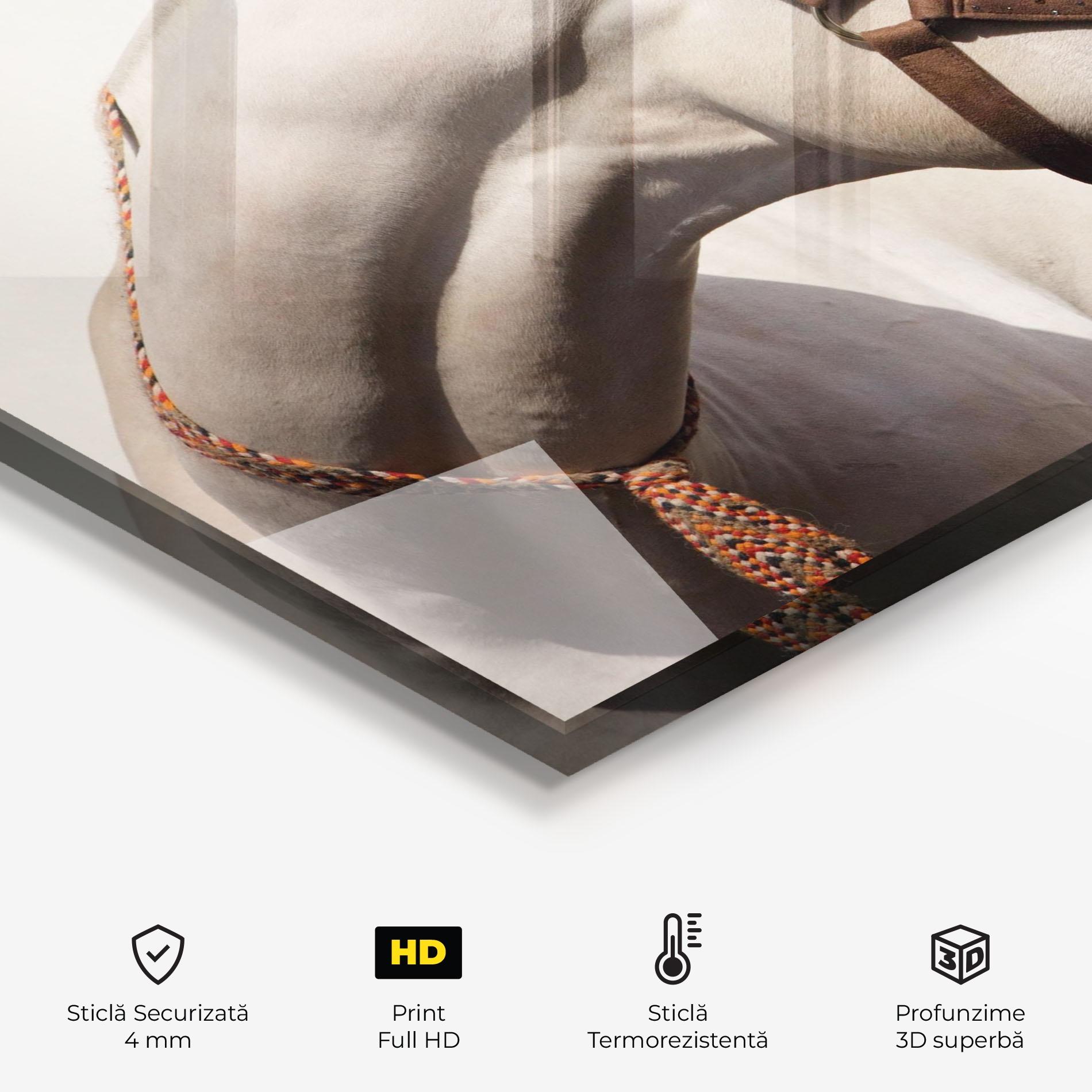 Panou Sticla Bucatarie Blue Eye Horse mockup 2