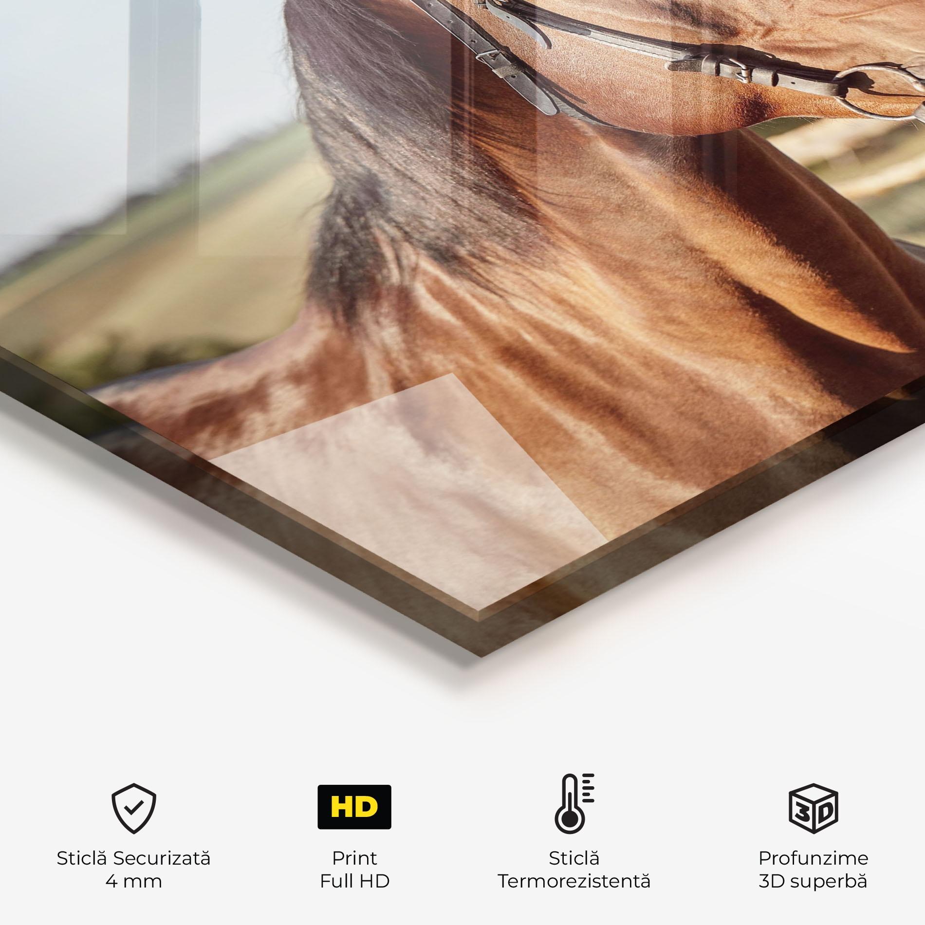 Panou Sticla Bucatarie Brown Horse Close Up mockup 2