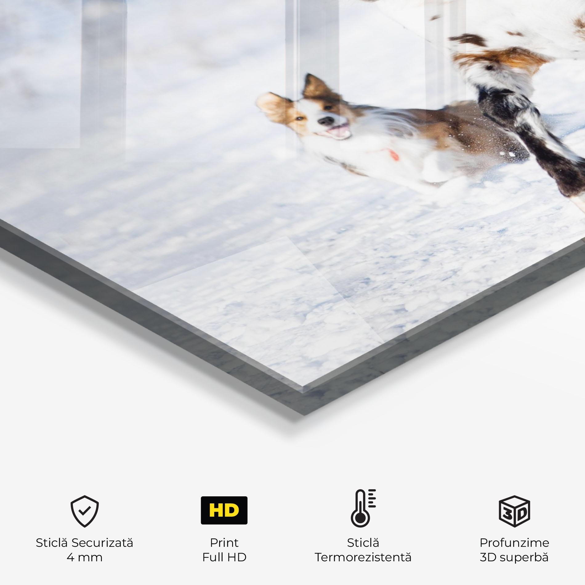 Panou Sticla Bucatarie Dog And Horse Running mockup 2