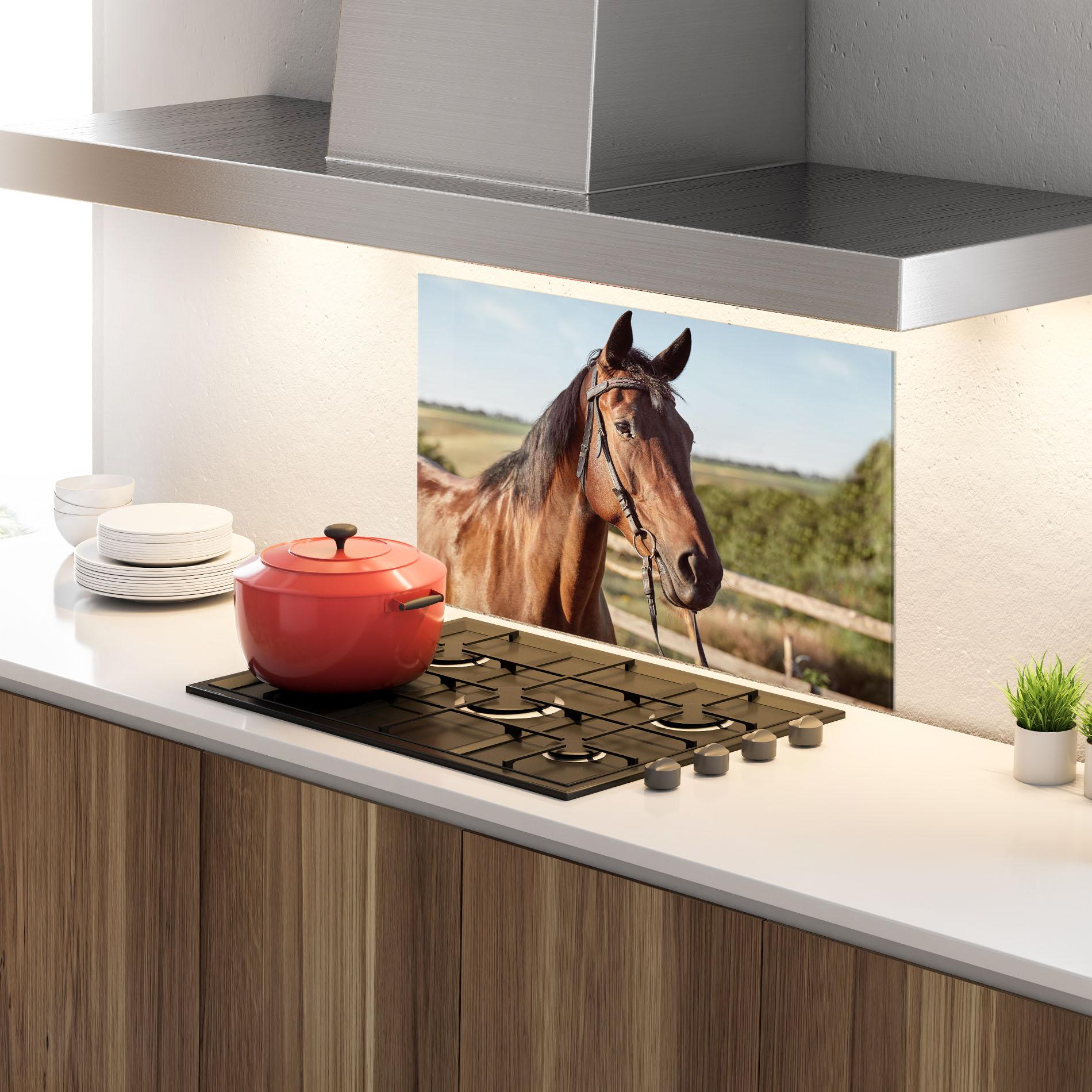 Panou Sticla Bucatarie Brown Horse Close Up mockup 4