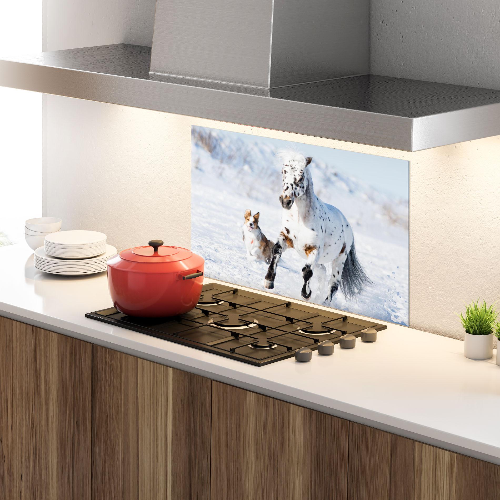 Panou Sticla Bucatarie Dog And Horse Running mockup 4