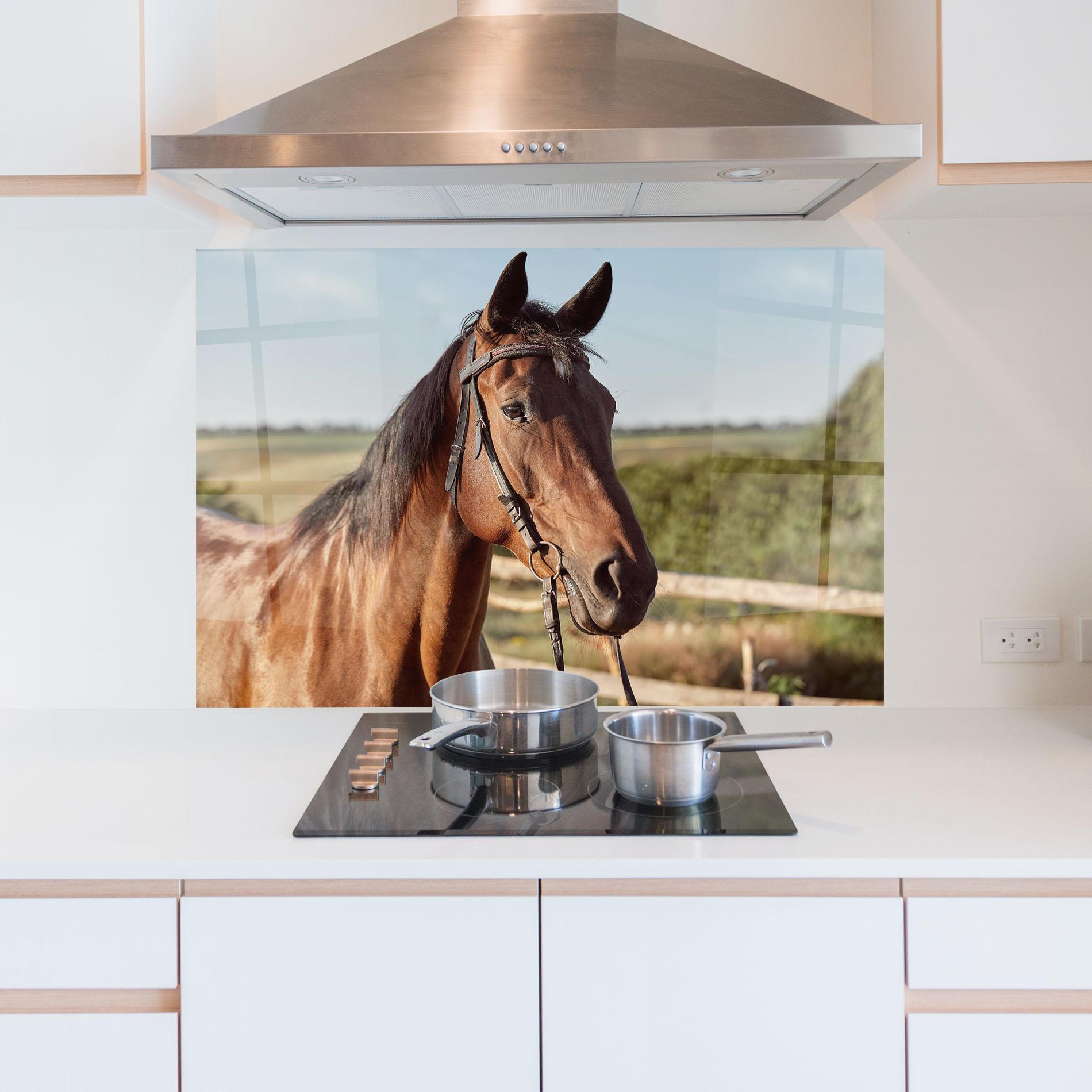 Panou Sticla Bucatarie Brown Horse Close Up mockup 5