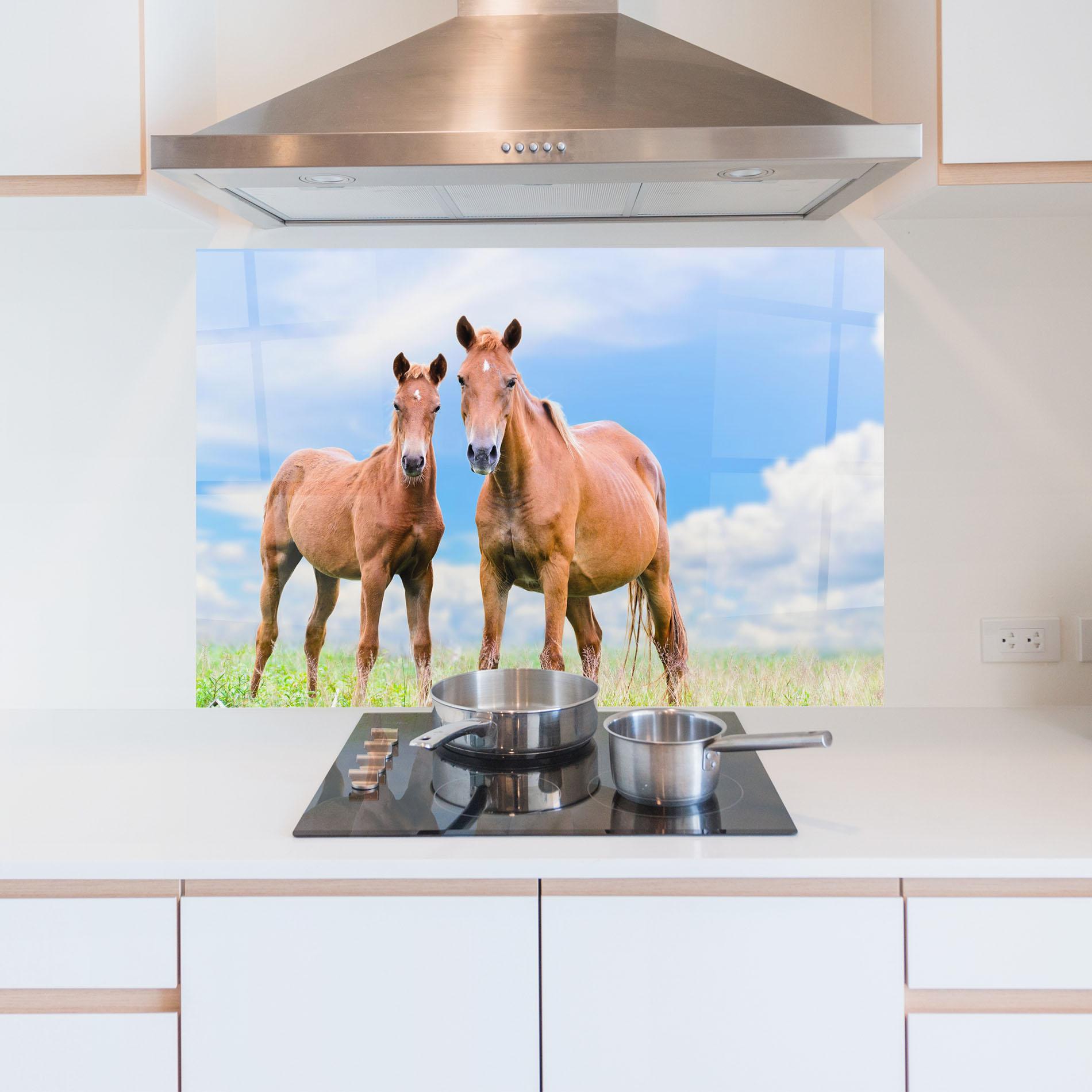 Panou Sticla Bucatarie Brown Horse Looking mockup 5