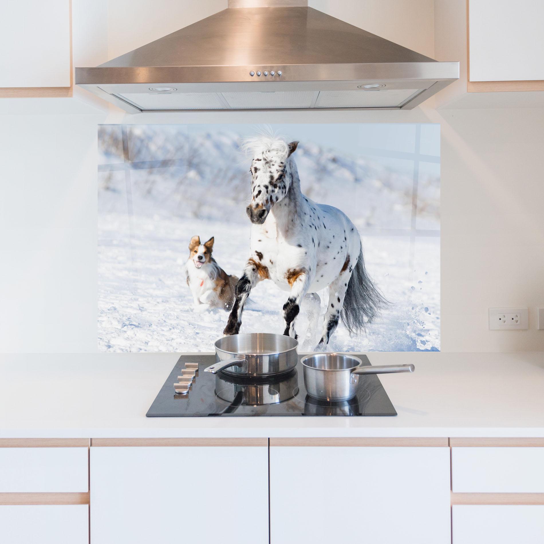 Panou Sticla Bucatarie Dog And Horse Running mockup 5