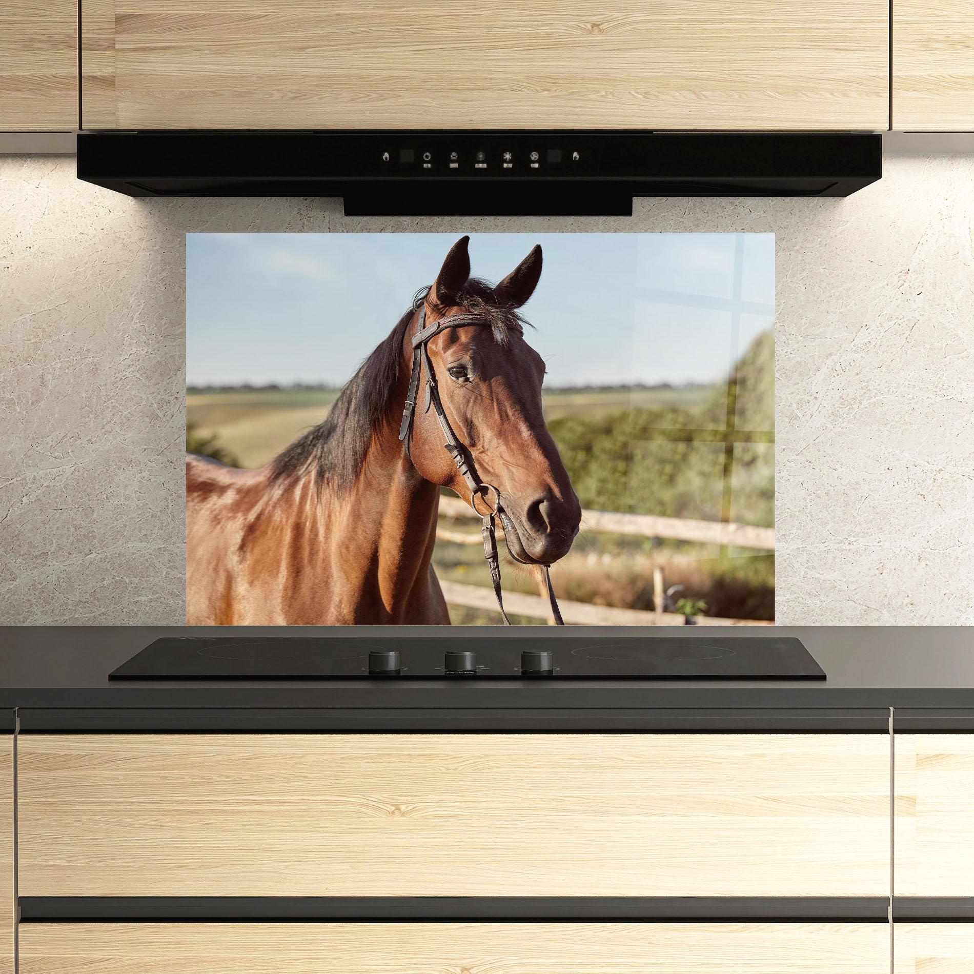 Panou Sticla Bucatarie Brown Horse Close Up mockup 3