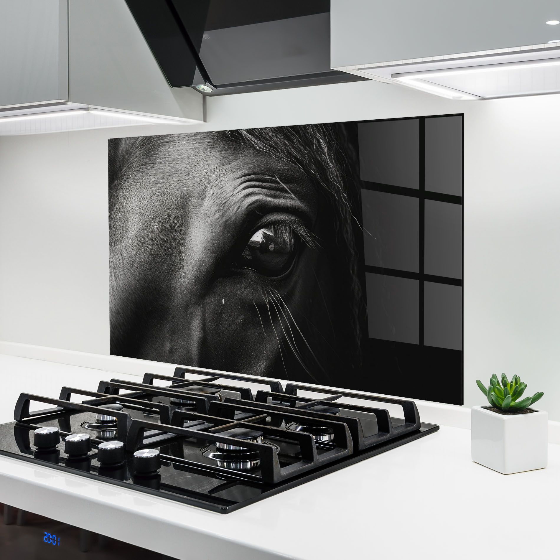 Black Horse Eye mockup 6