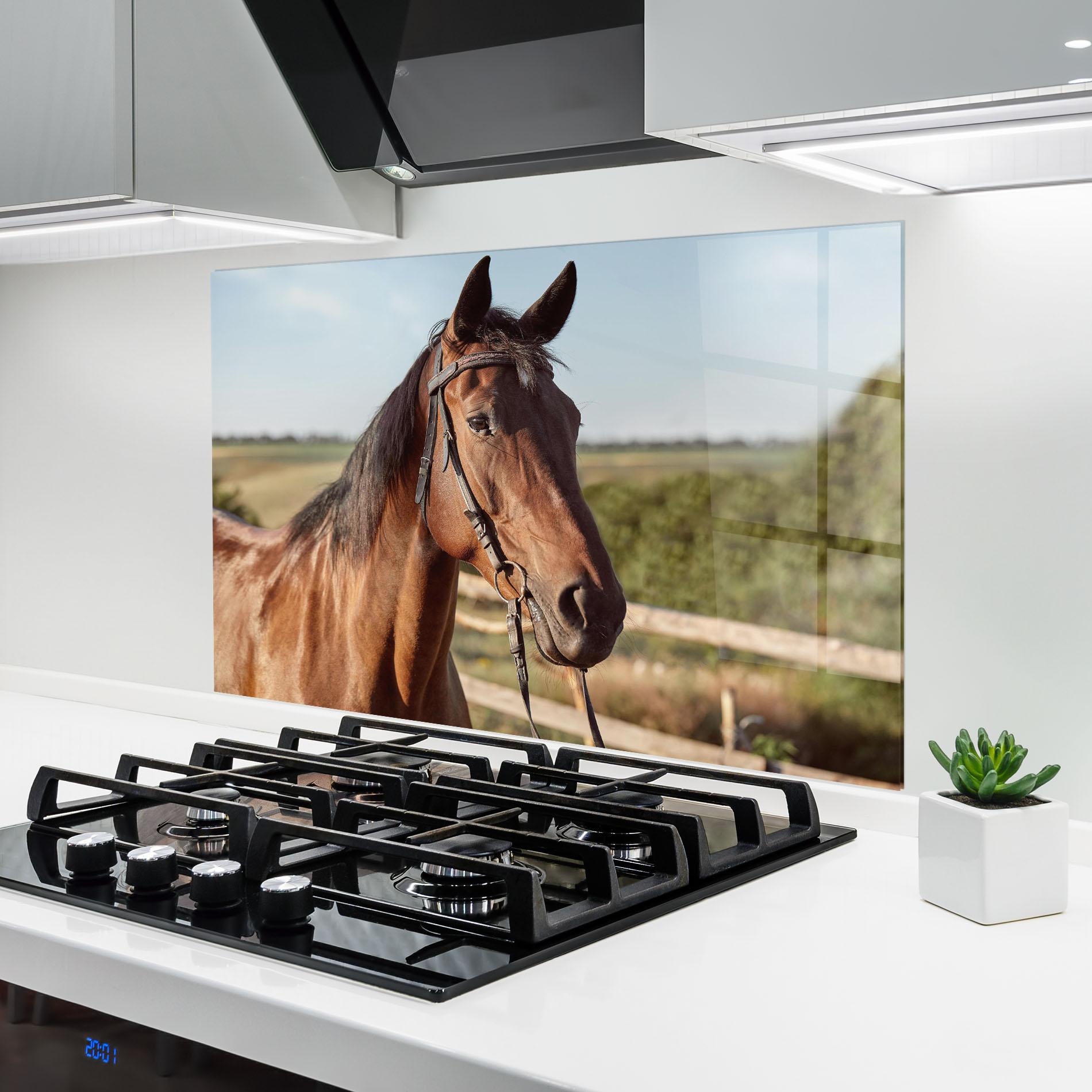 Panou Sticla Bucatarie Brown Horse Close Up mockup 6