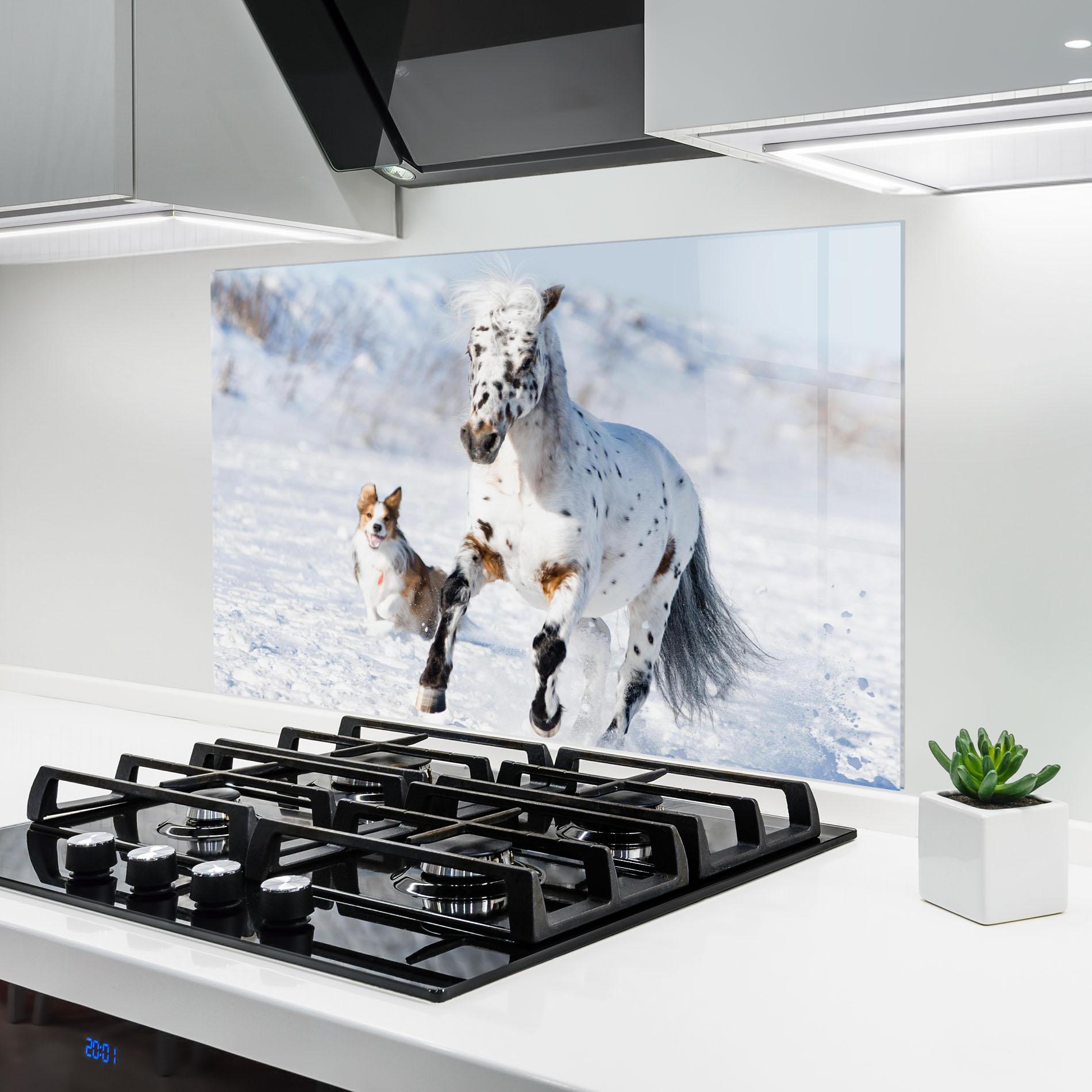 Panou Sticla Bucatarie Dog And Horse Running mockup 6