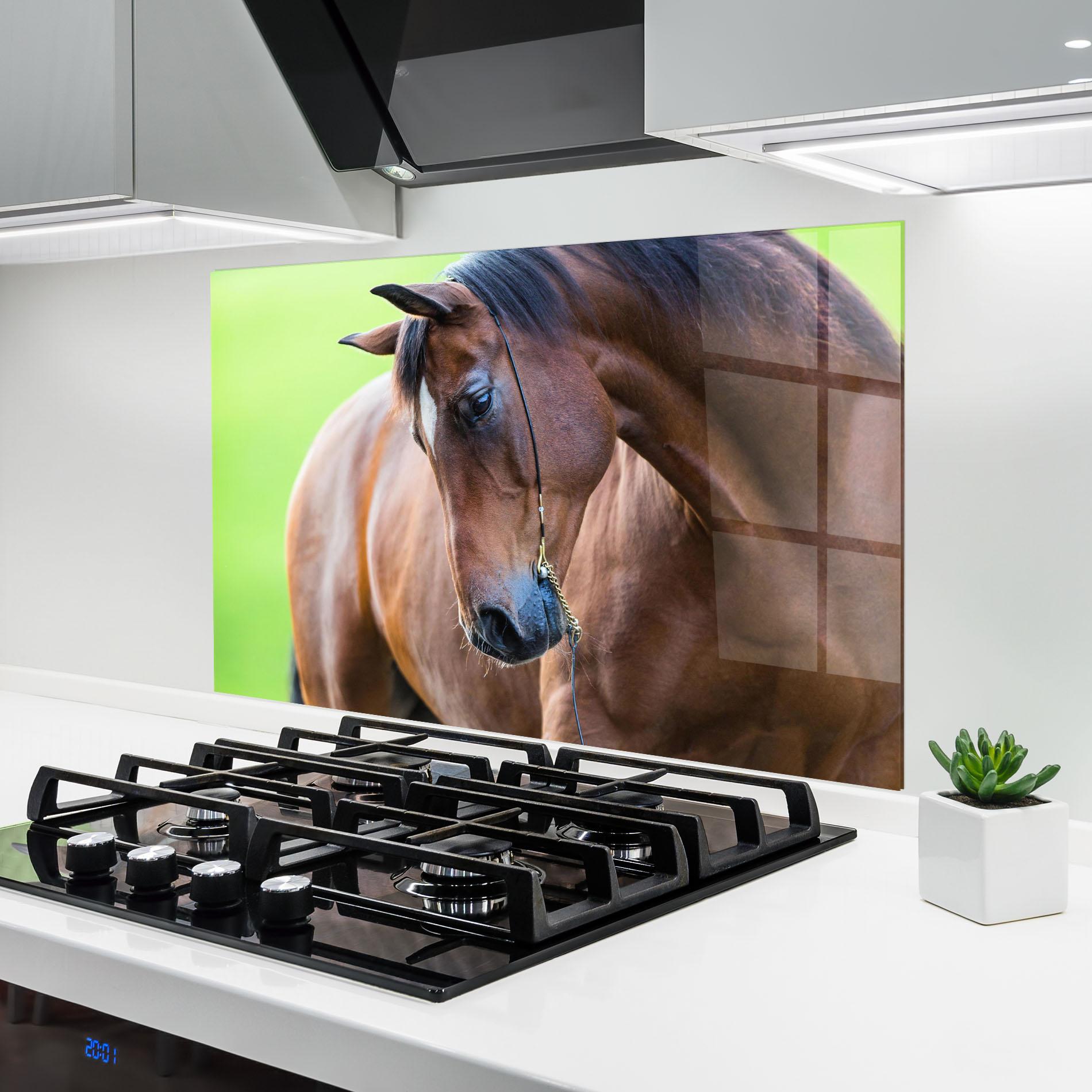 Panou Sticla Bucatarie Horse Head Portrait mockup 6