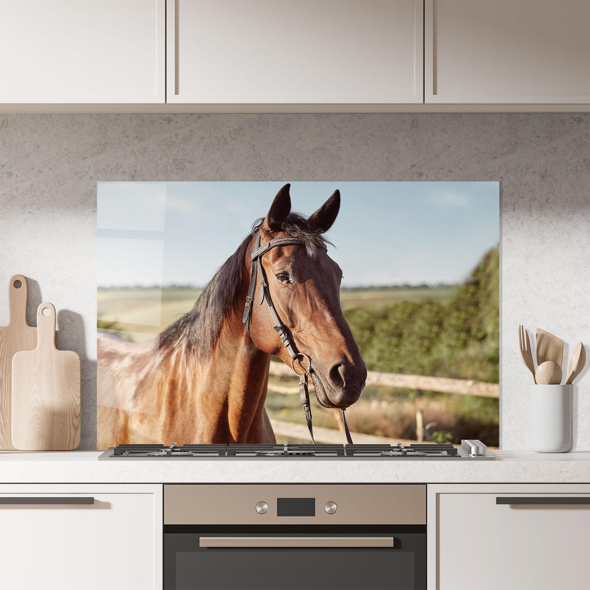 Panou Sticla Bucatarie Brown Horse Close Up mockup 7