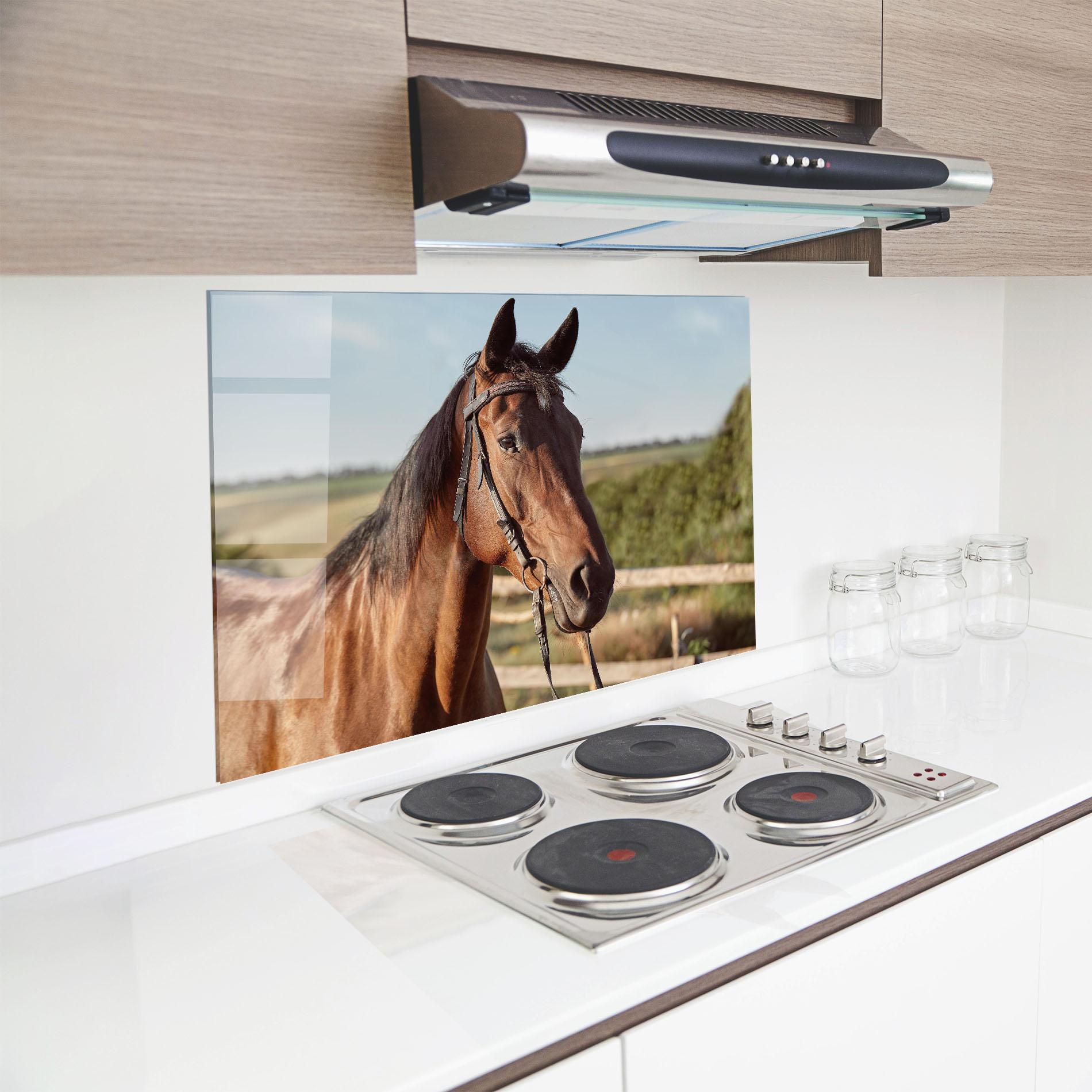 Panou Sticla Bucatarie Brown Horse Close Up mockup 8