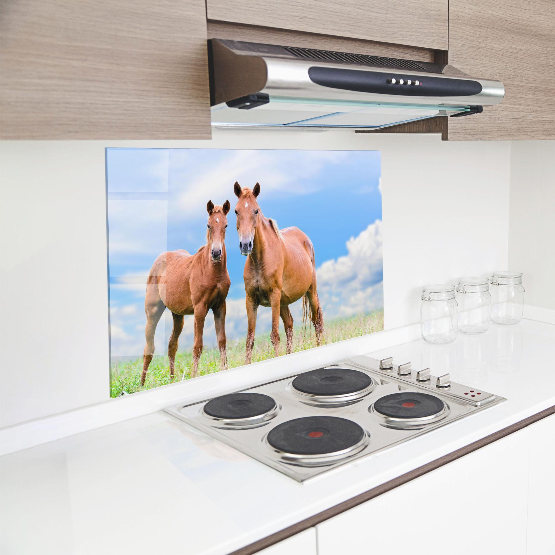 Panou Sticla Bucatarie Brown Horse Looking mockup 8