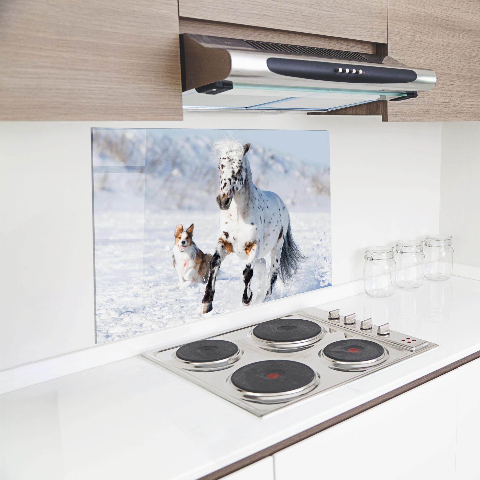 Panou Sticla Bucatarie Dog And Horse Running mockup 8