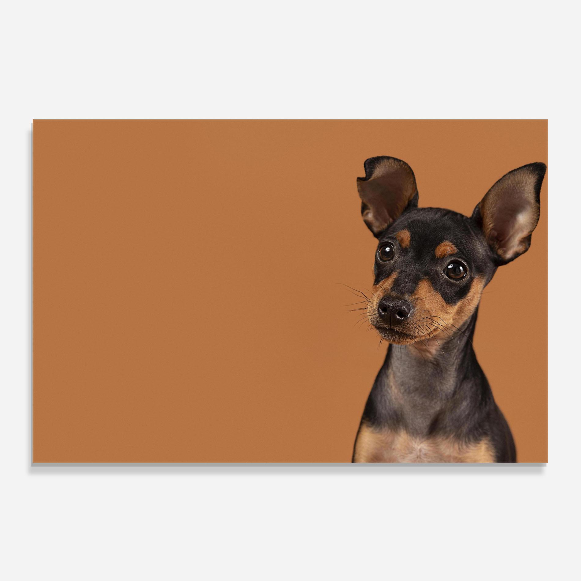 Panou Sticla Bucatarie Cute Dog Portrait mockup 0