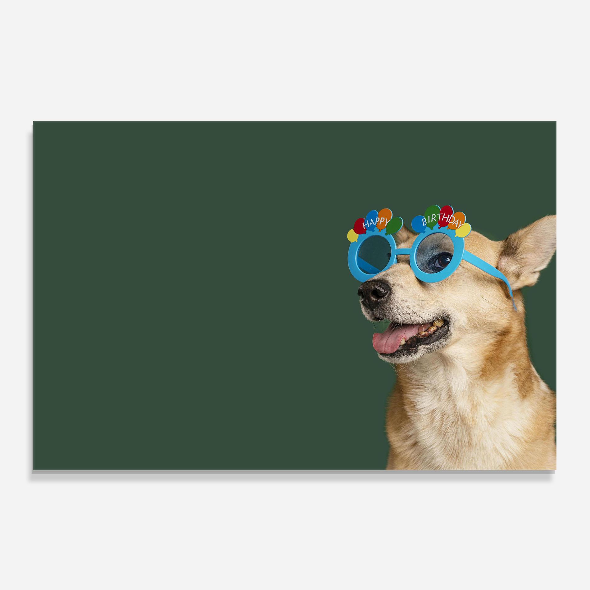 Panou Sticla Bucatarie Cute Glasses Dog mockup 0