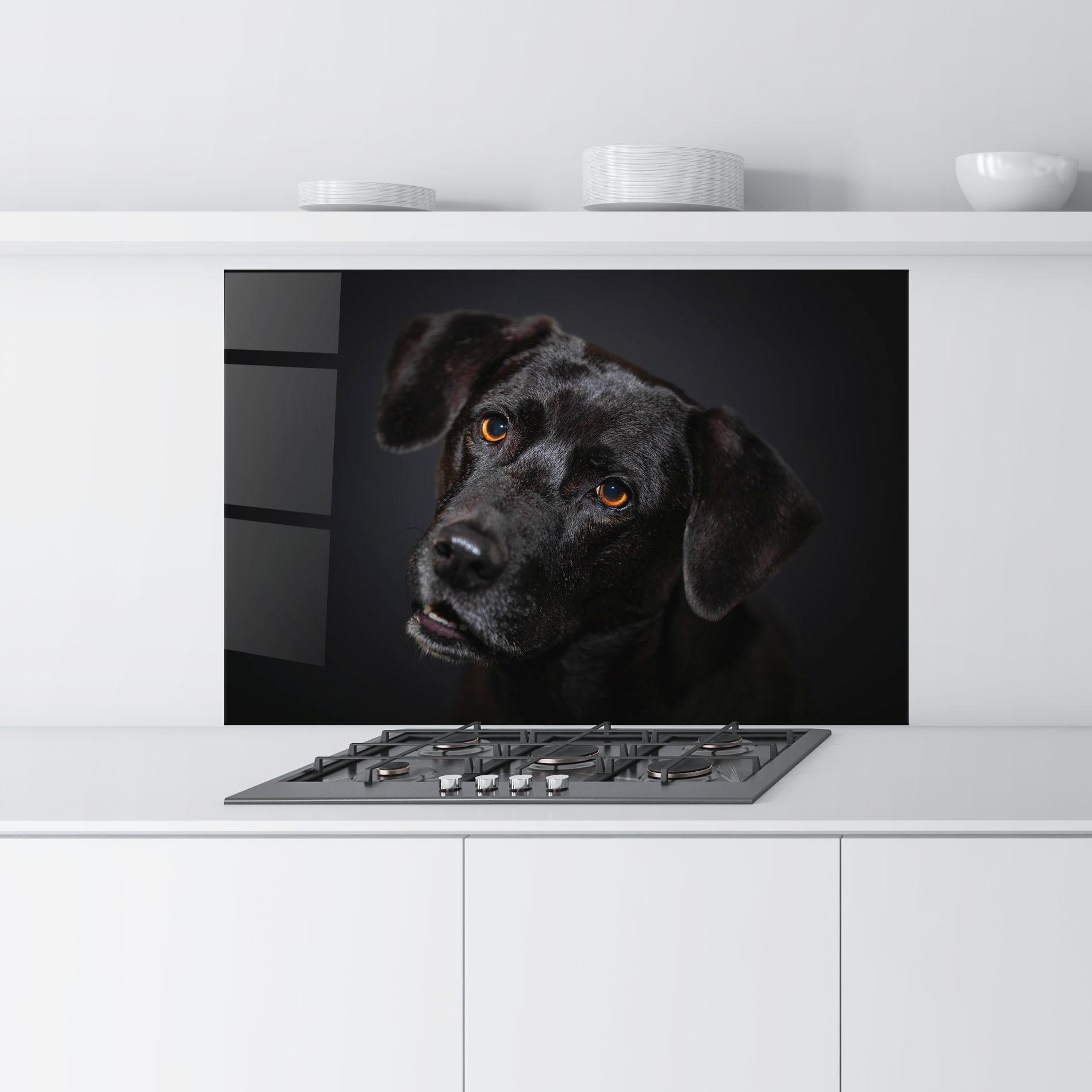 Panou Sticla Bucatarie Black Dog Portrait mockup 9