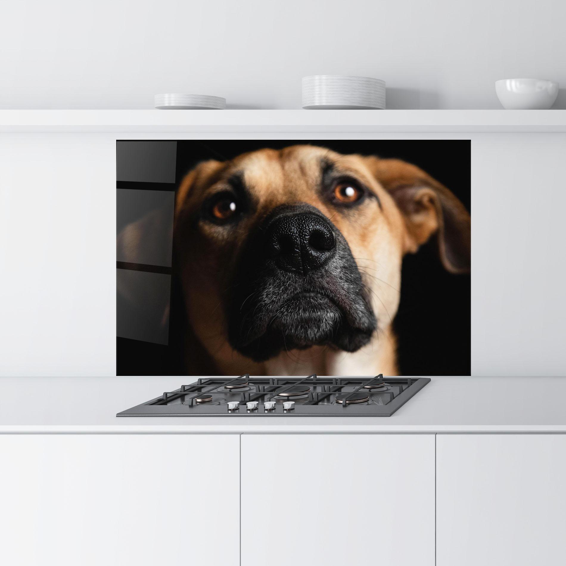 Panou Sticla Bucatarie Black Nose Dog mockup 9