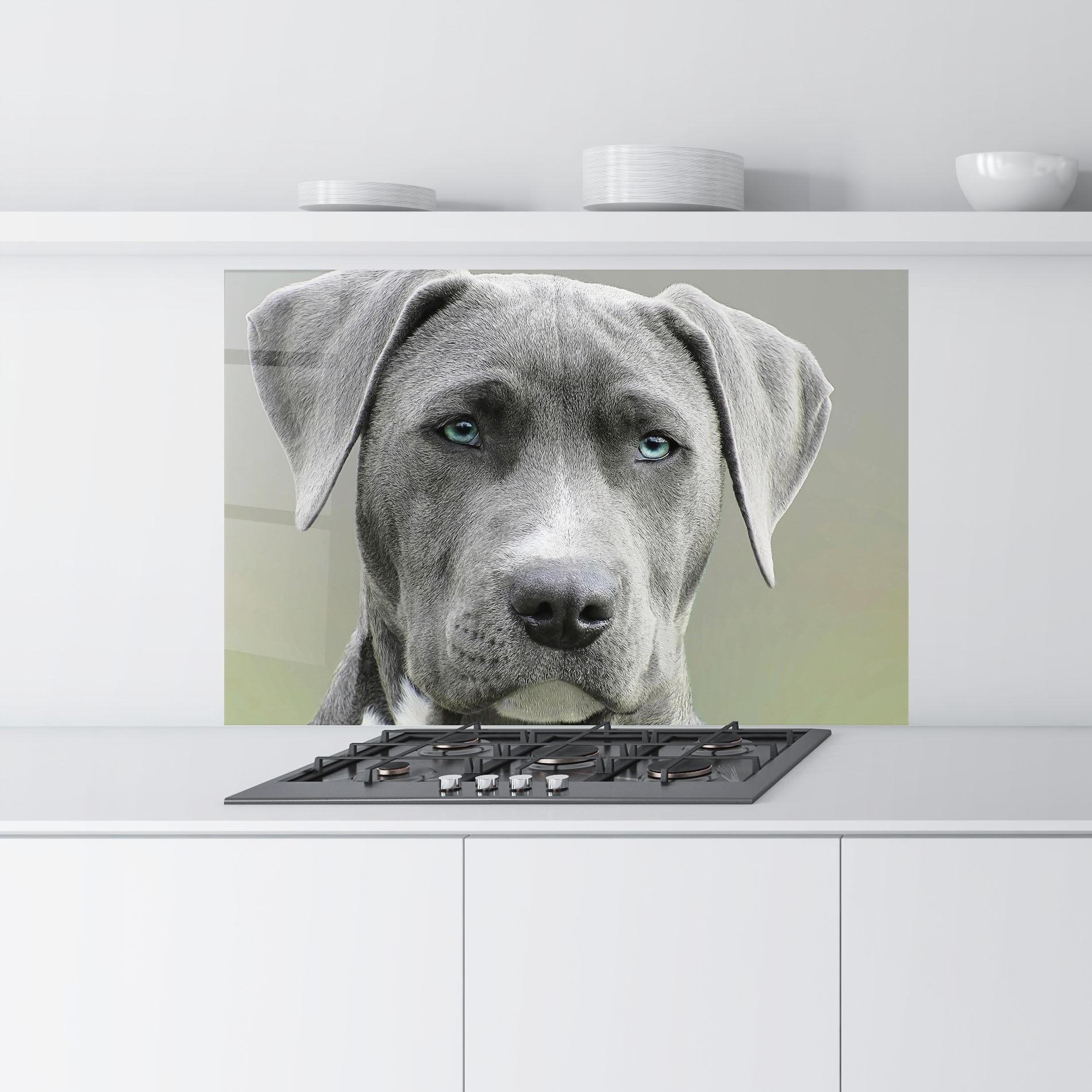 Panou Sticla Bucatarie Blue Eyes Dog mockup 9