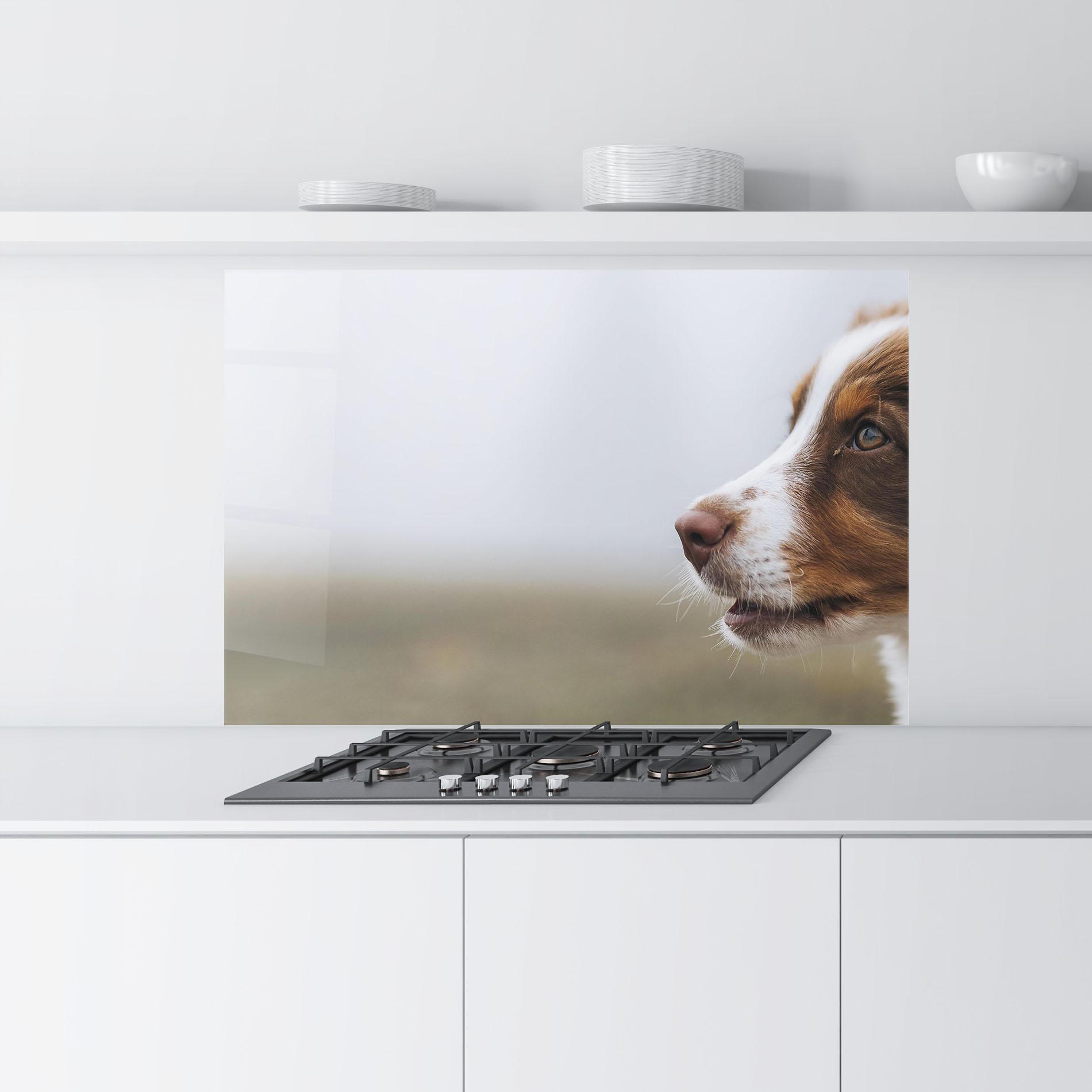 Panou Sticla Bucatarie Brown White Dog mockup 9