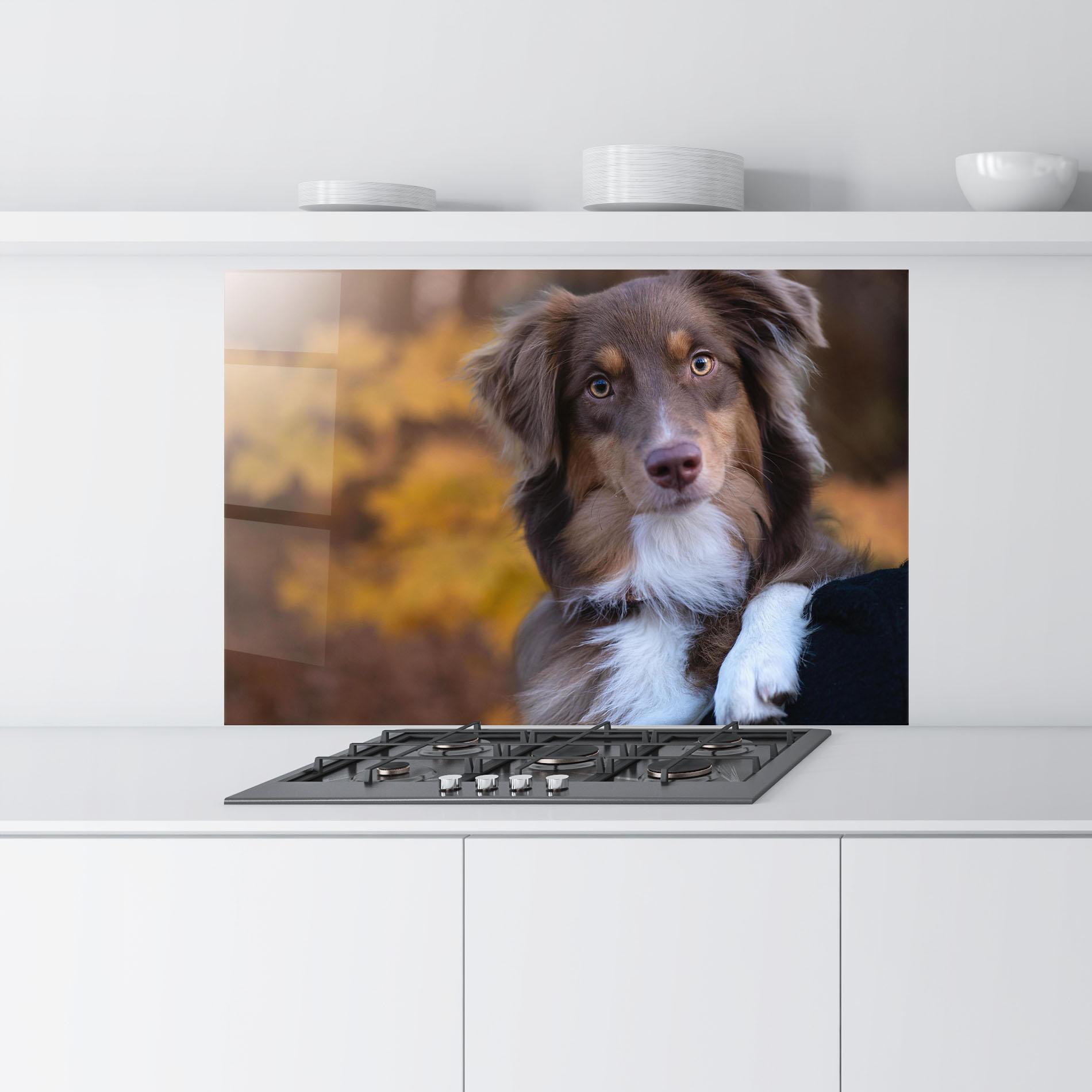 Panou Sticla Bucatarie Coffee Brown Dog mockup 9