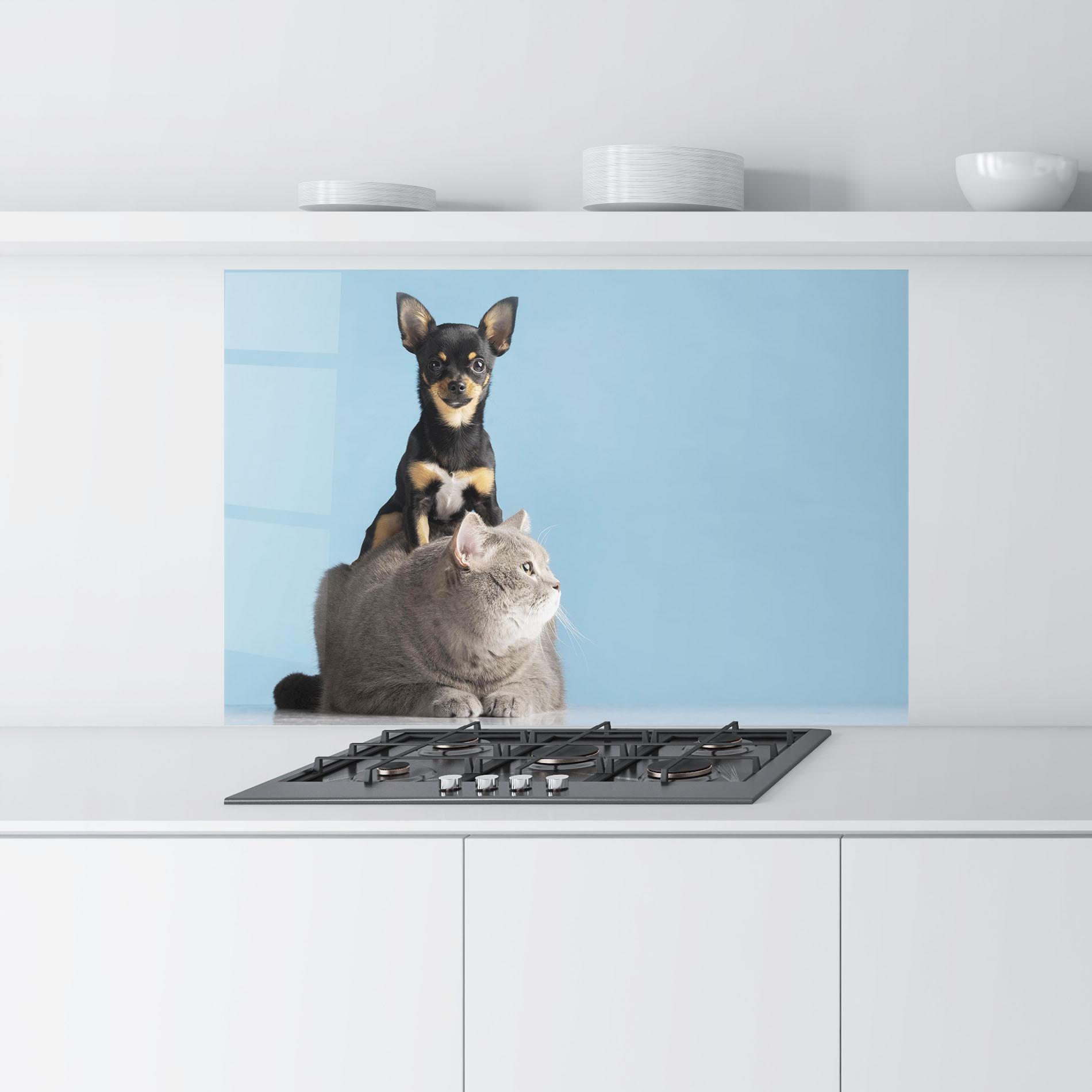 Panou Sticla Bucatarie Dog Grey Cat mockup 9