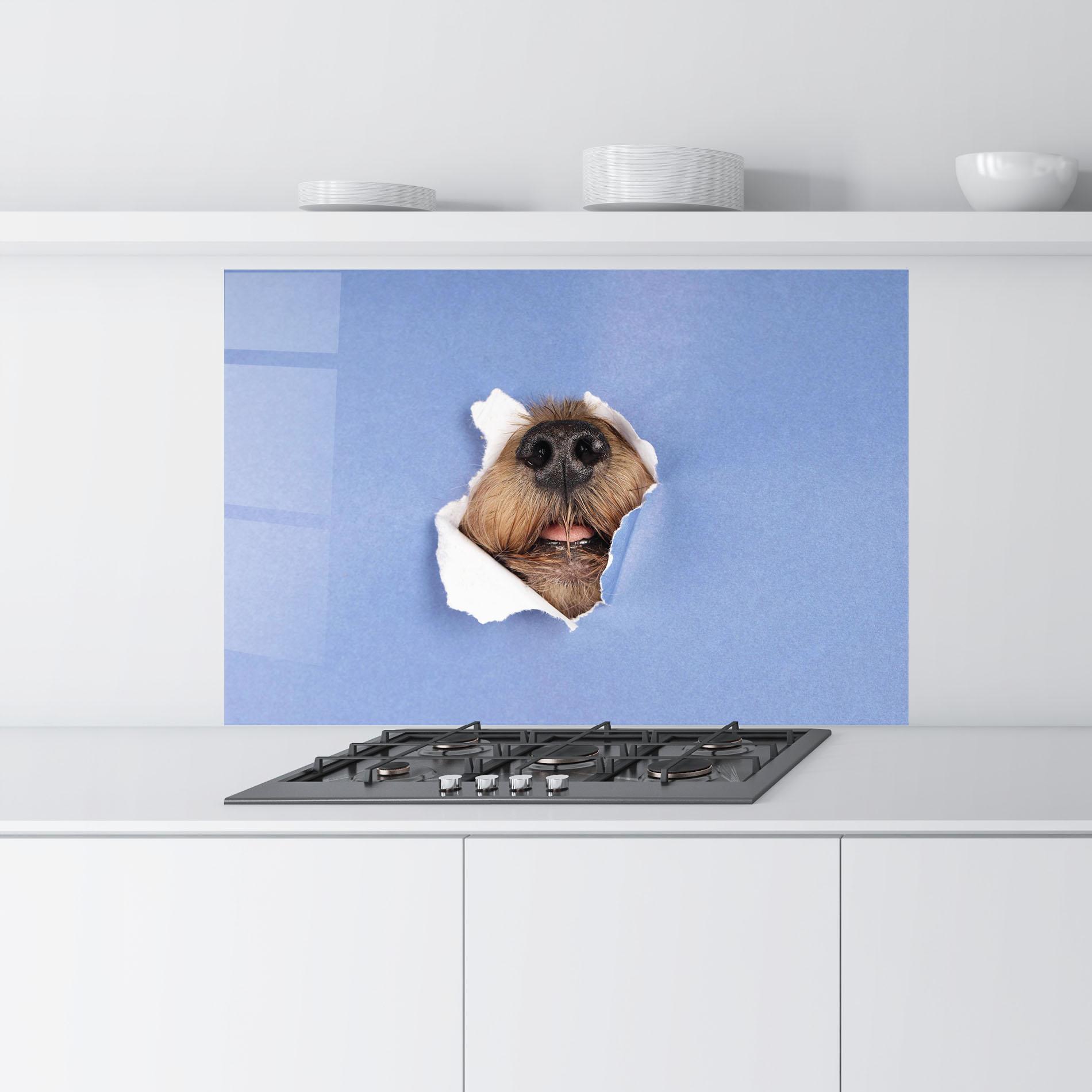 Panou Sticla Bucatarie Dog Small Nose mockup 9