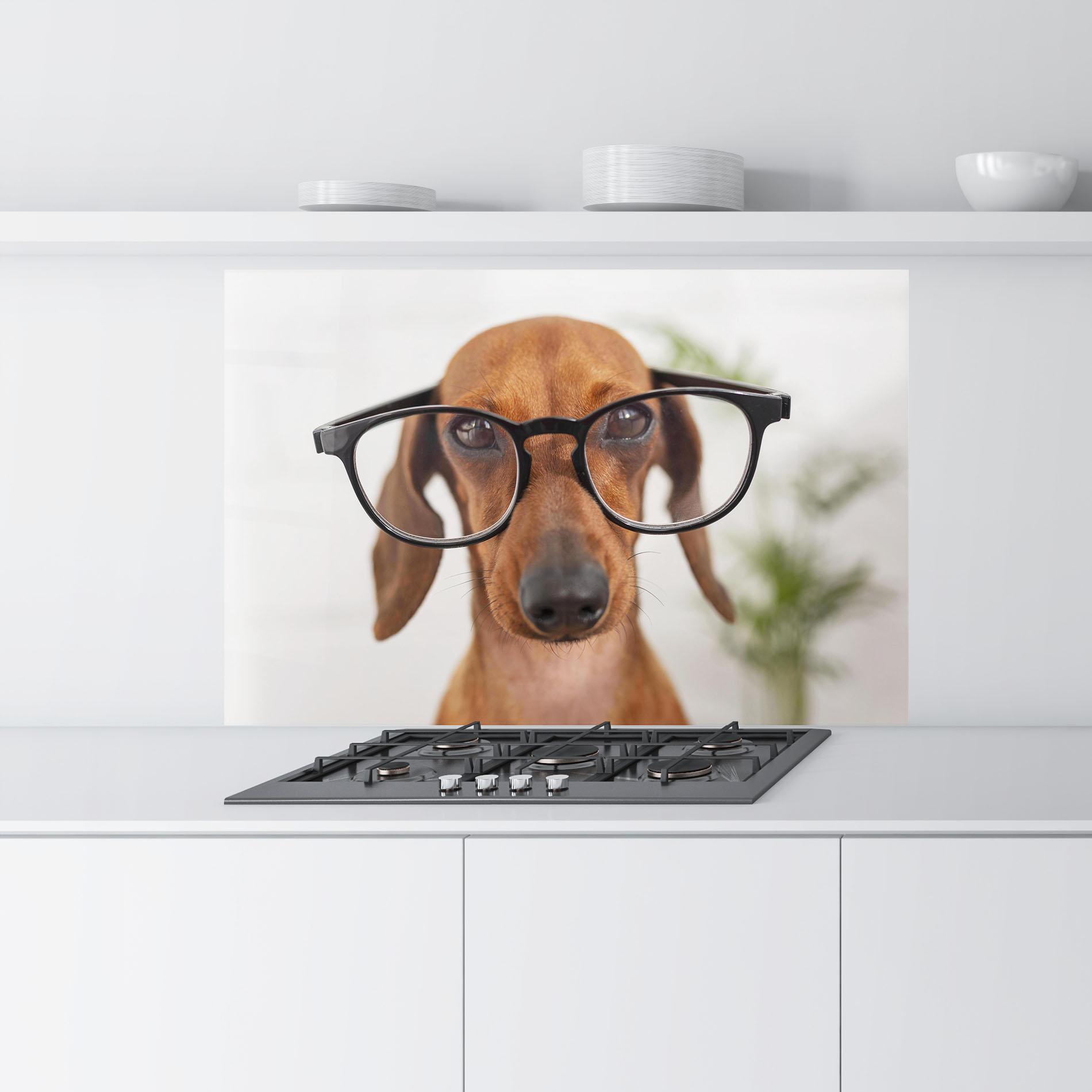 Panou Sticla Bucatarie Dog Wearing Glasses mockup 9