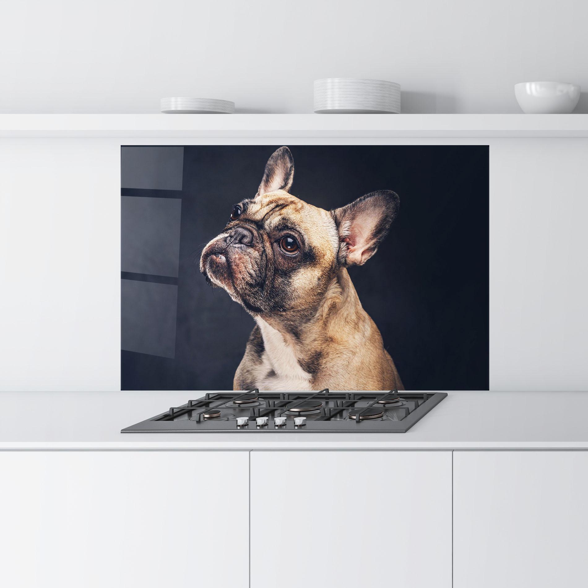 Panou Sticla Bucatarie Funny Face Dog mockup 9