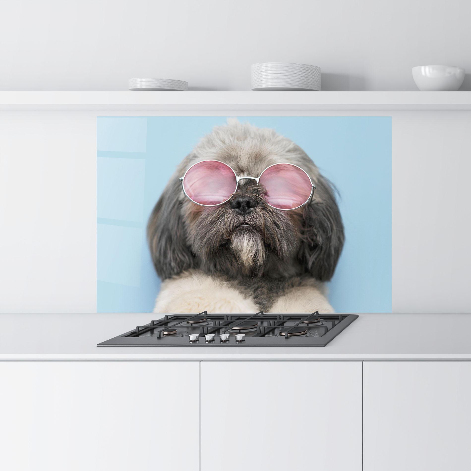 Panou Sticla Bucatarie Grey Dog On Blue mockup 9