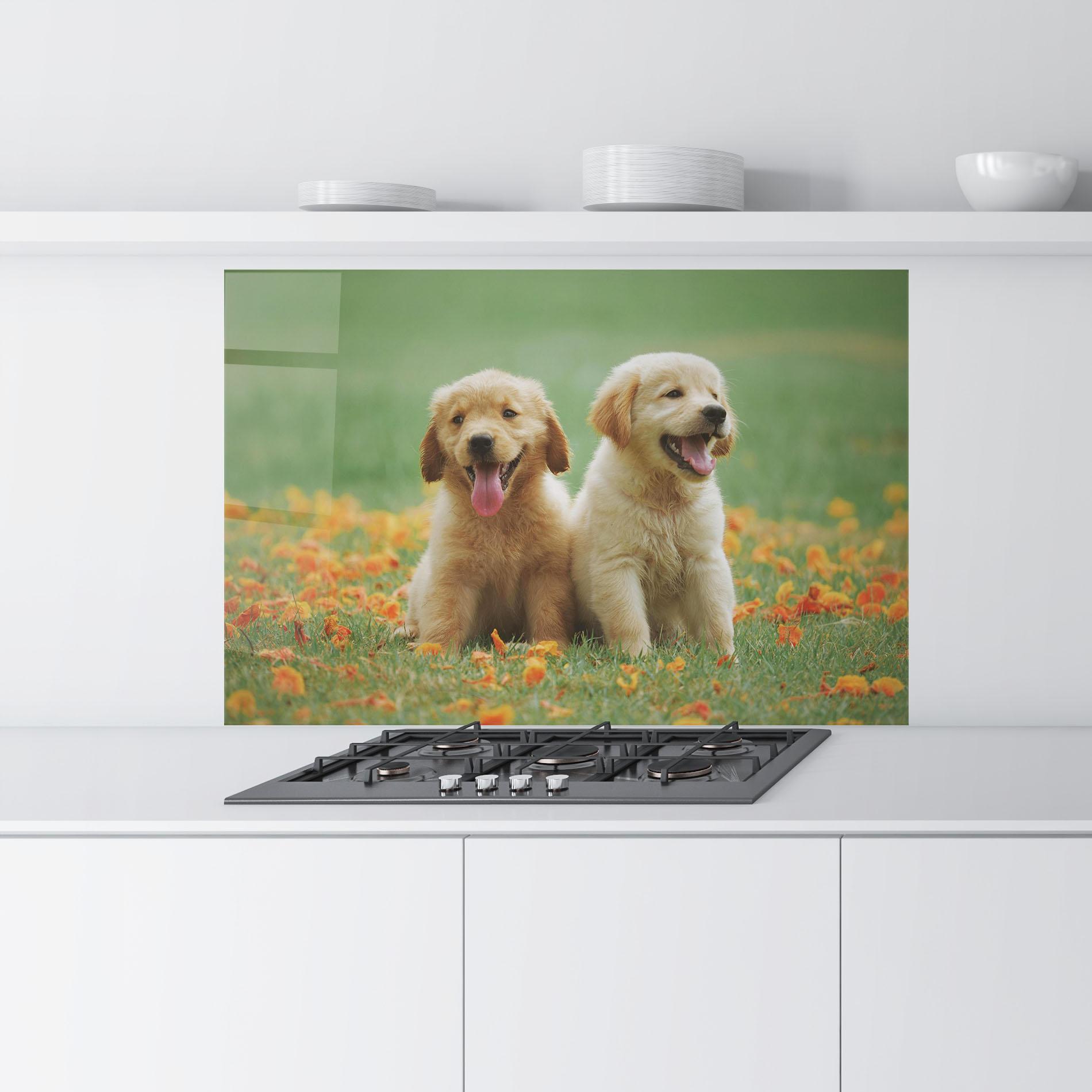 Panou Sticla Bucatarie Happy Dogs mockup 9