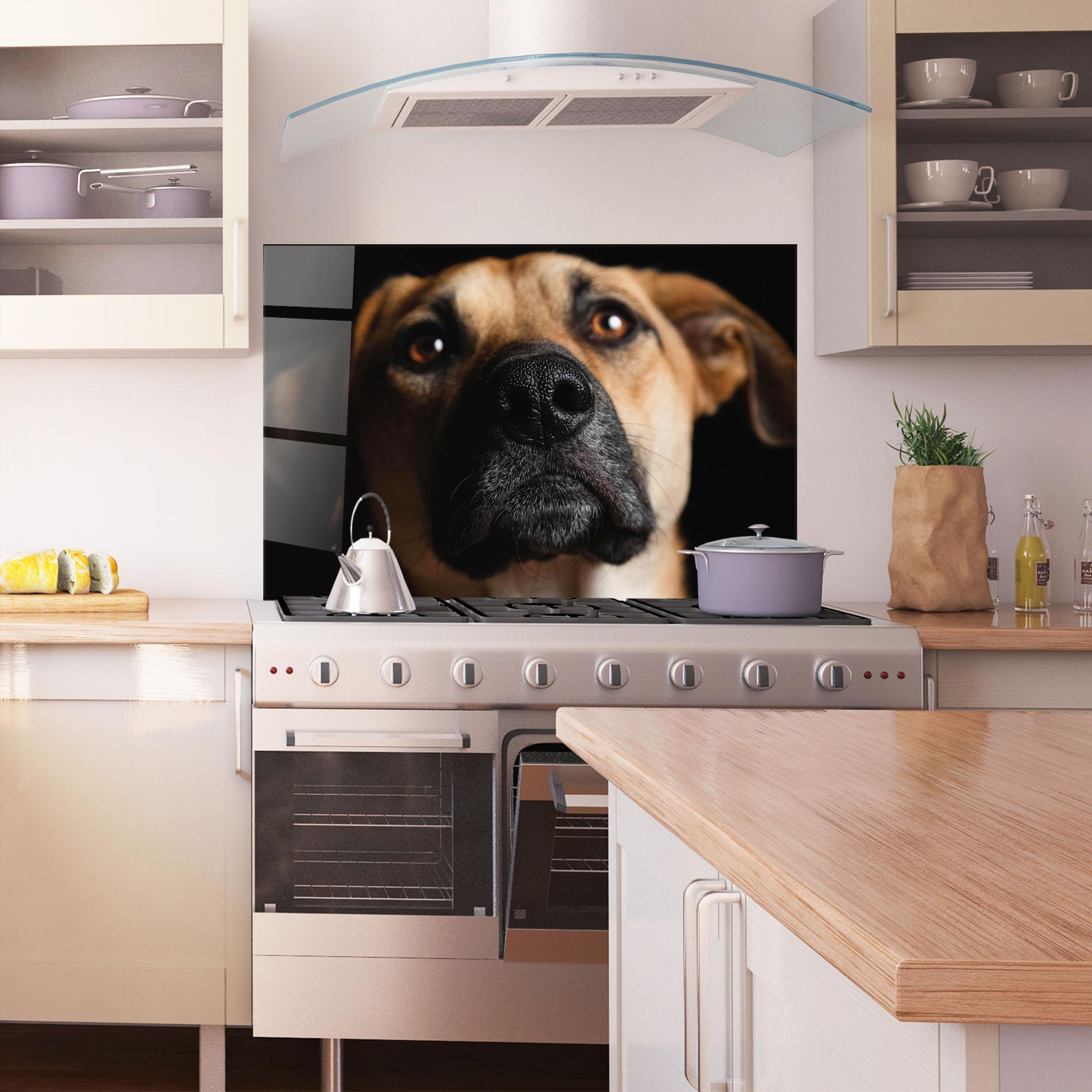 Panou Sticla Bucatarie Black Nose Dog mockup 1