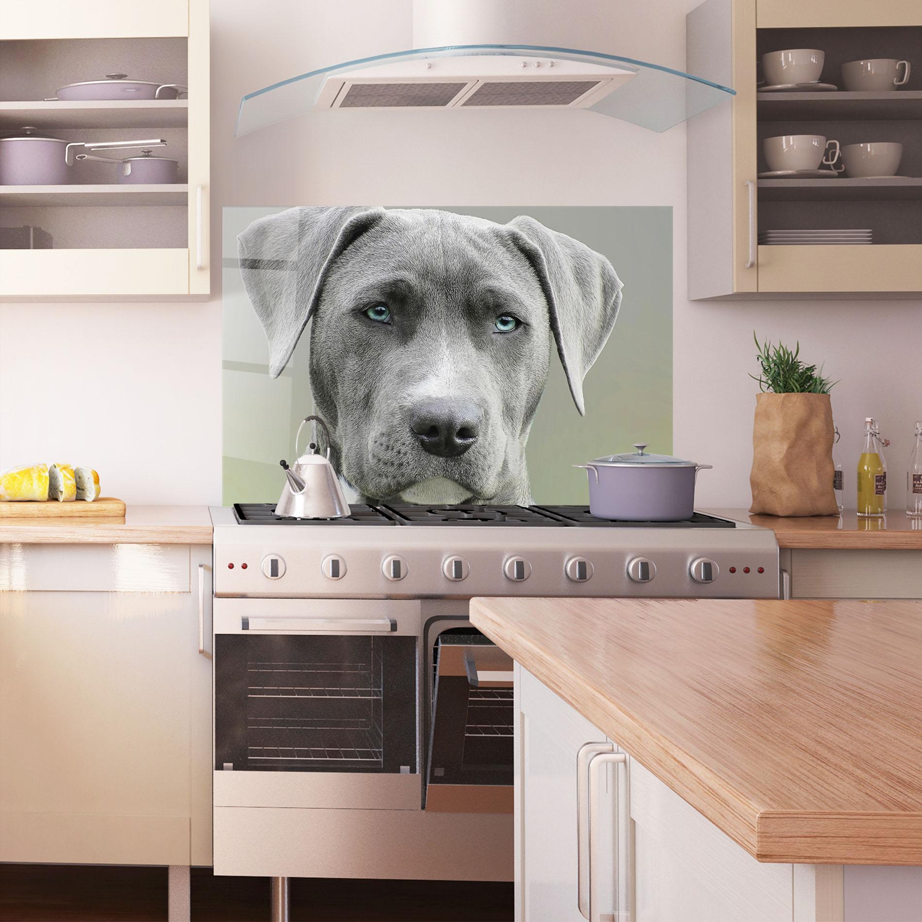 Panou Sticla Bucatarie Blue Eyes Dog mockup 1