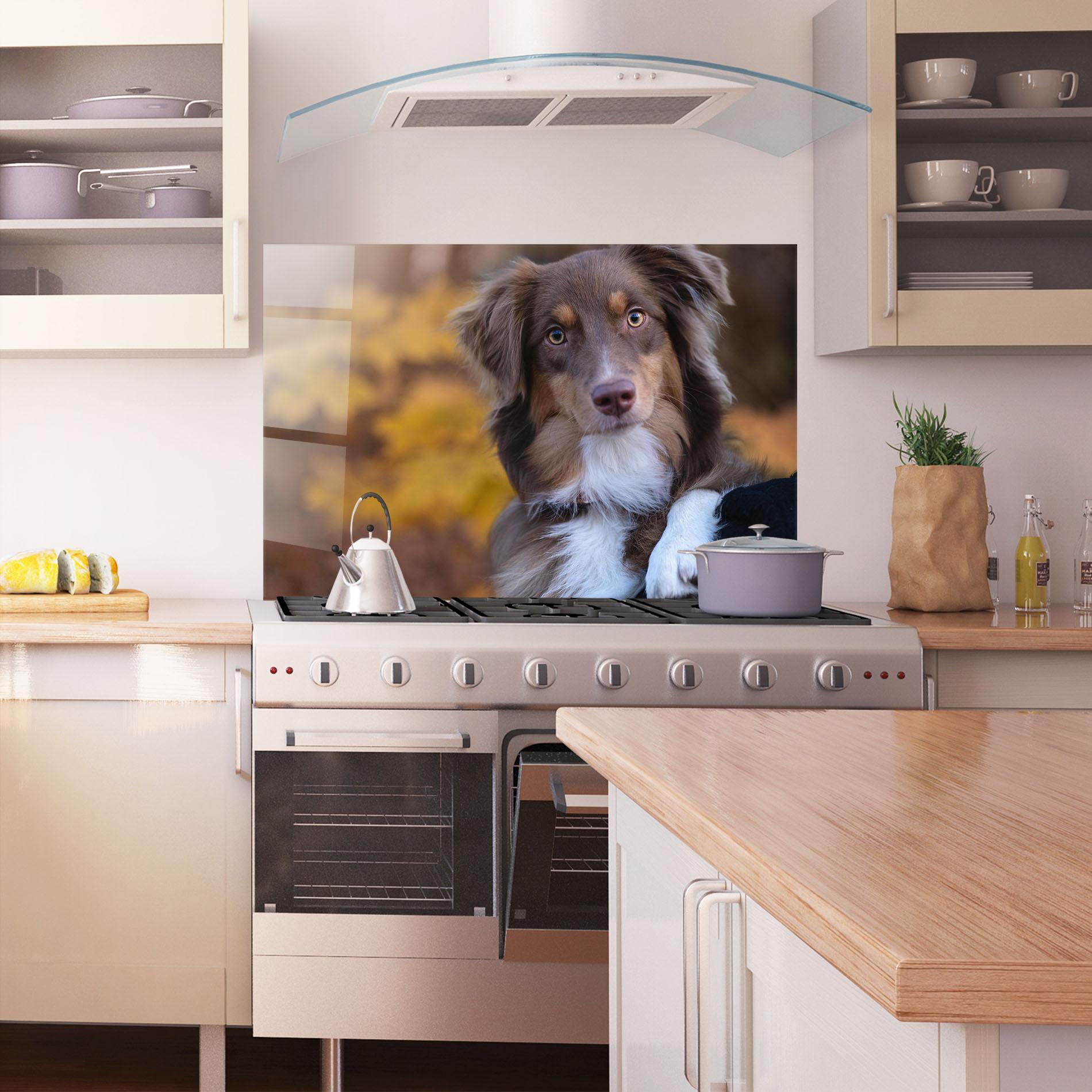 Panou Sticla Bucatarie Coffee Brown Dog mockup 1