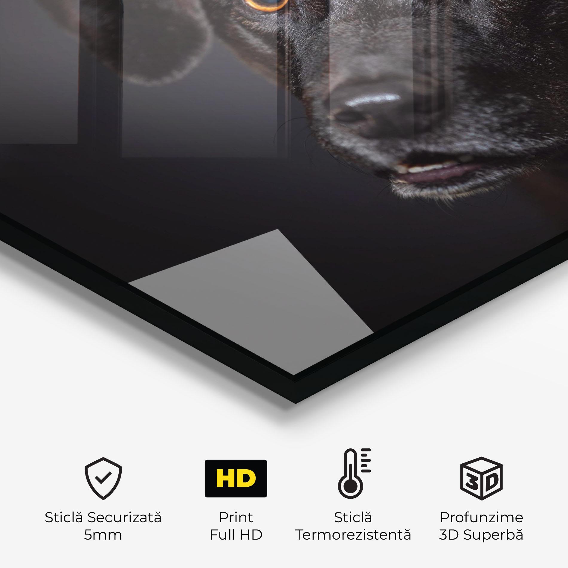 Panou Sticla Bucatarie Black Dog Portrait mockup 2