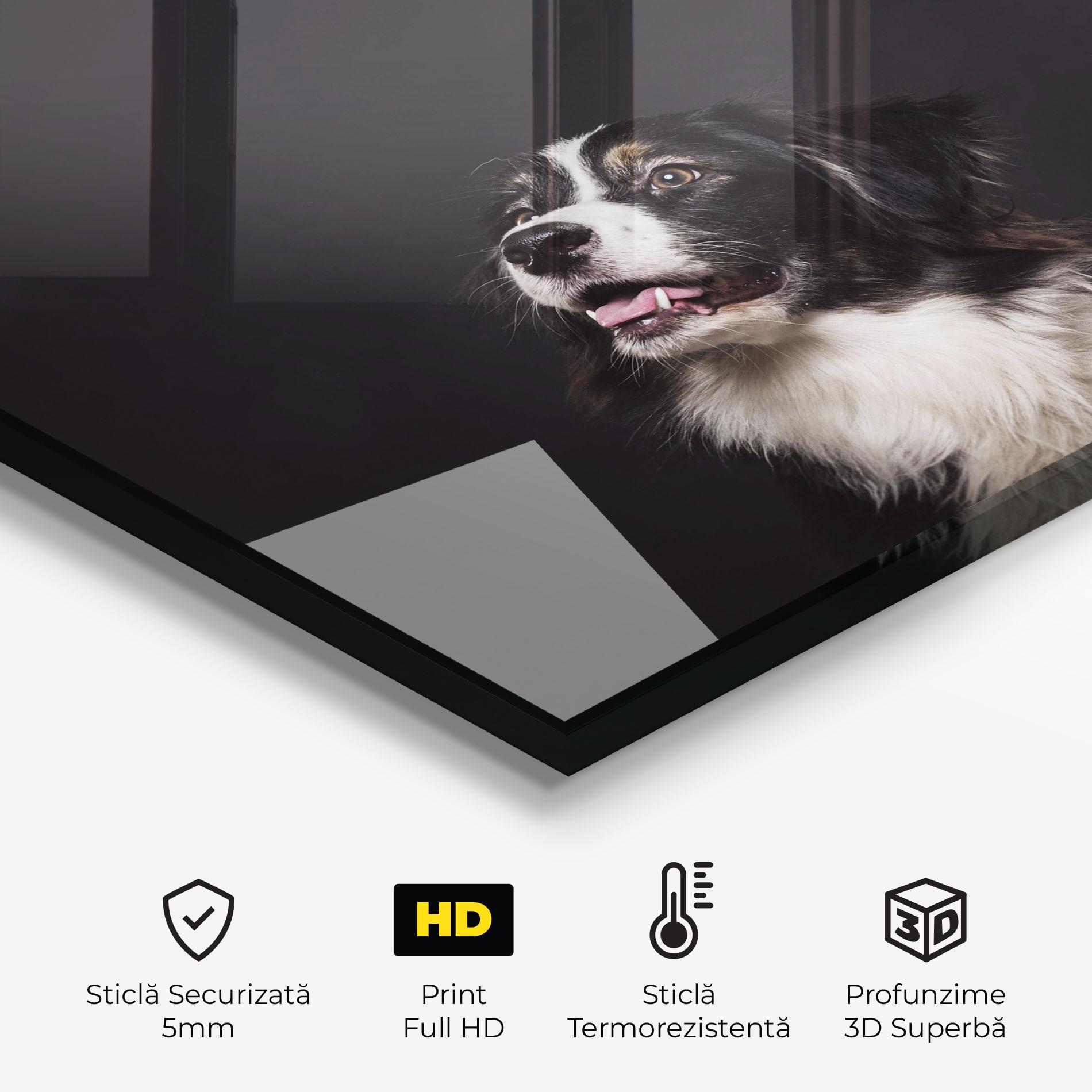 Panou Sticla Bucatarie Cute Dogs Standing mockup 2