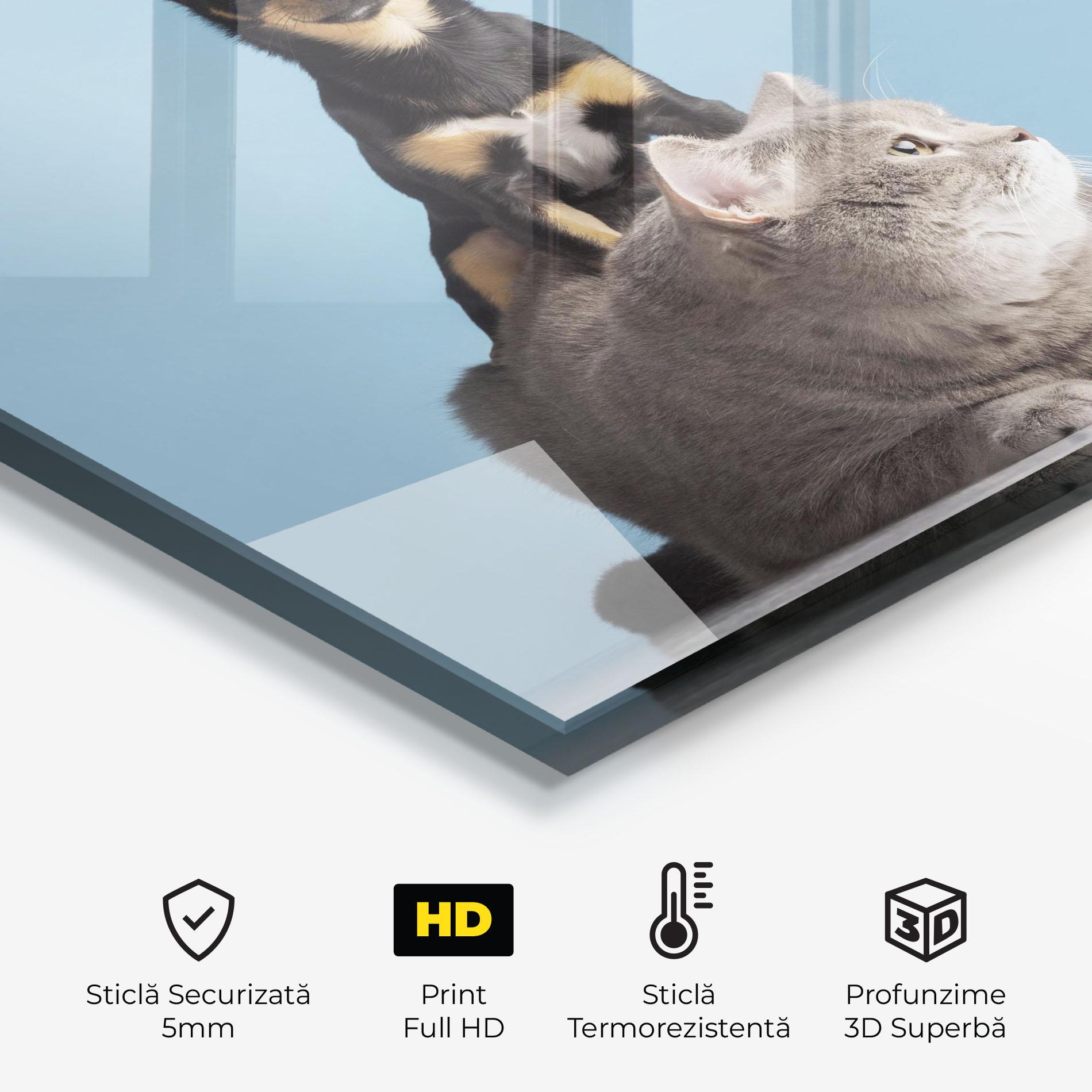 Panou Sticla Bucatarie Dog Grey Cat mockup 2