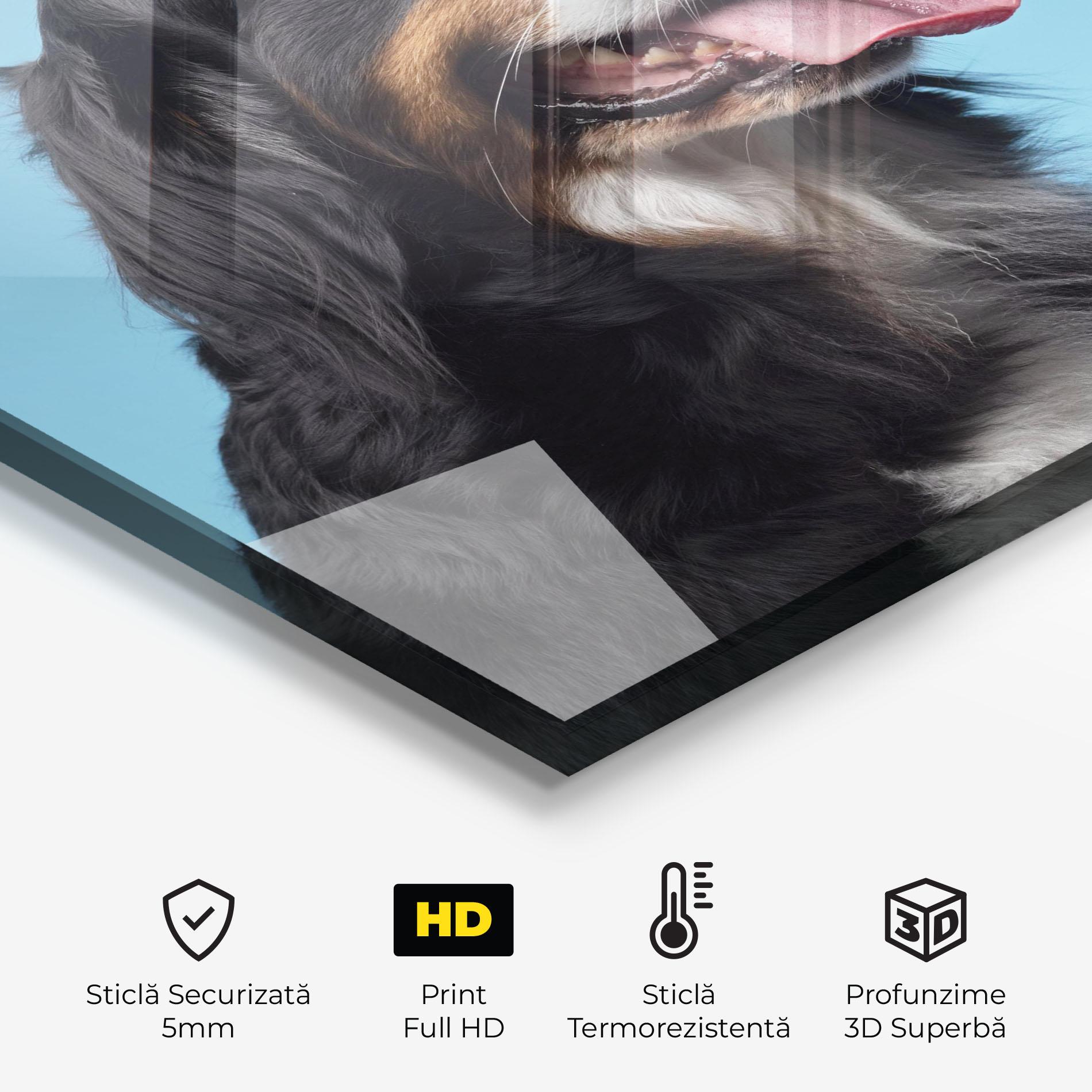 Panou Sticla Bucatarie Dog On Blue mockup 2